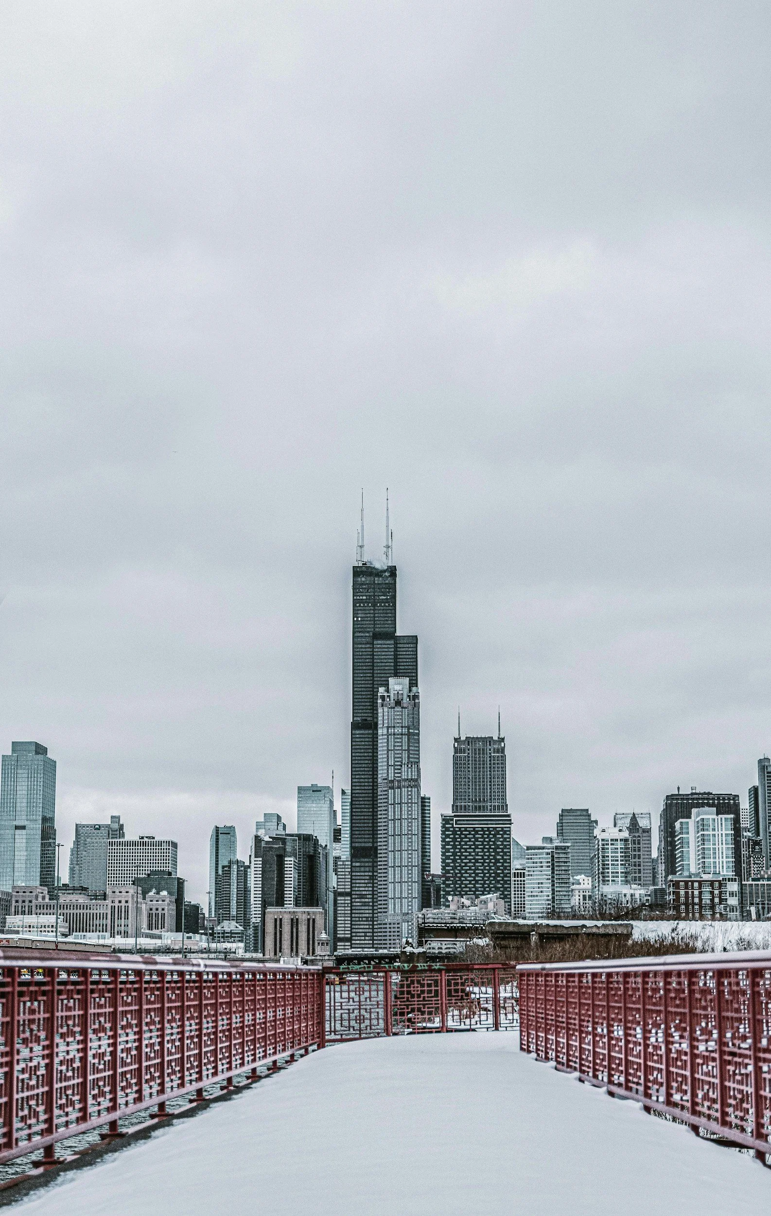 A snowy rooftop view of Chicago skyline featuring the Willis Tower and other tall buildings under a cloudy sky.