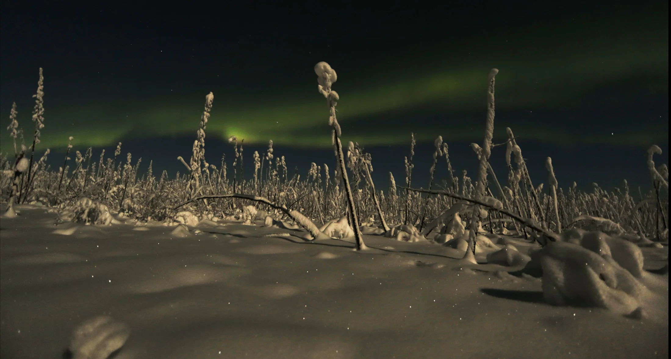 nor lights_v1.jpg