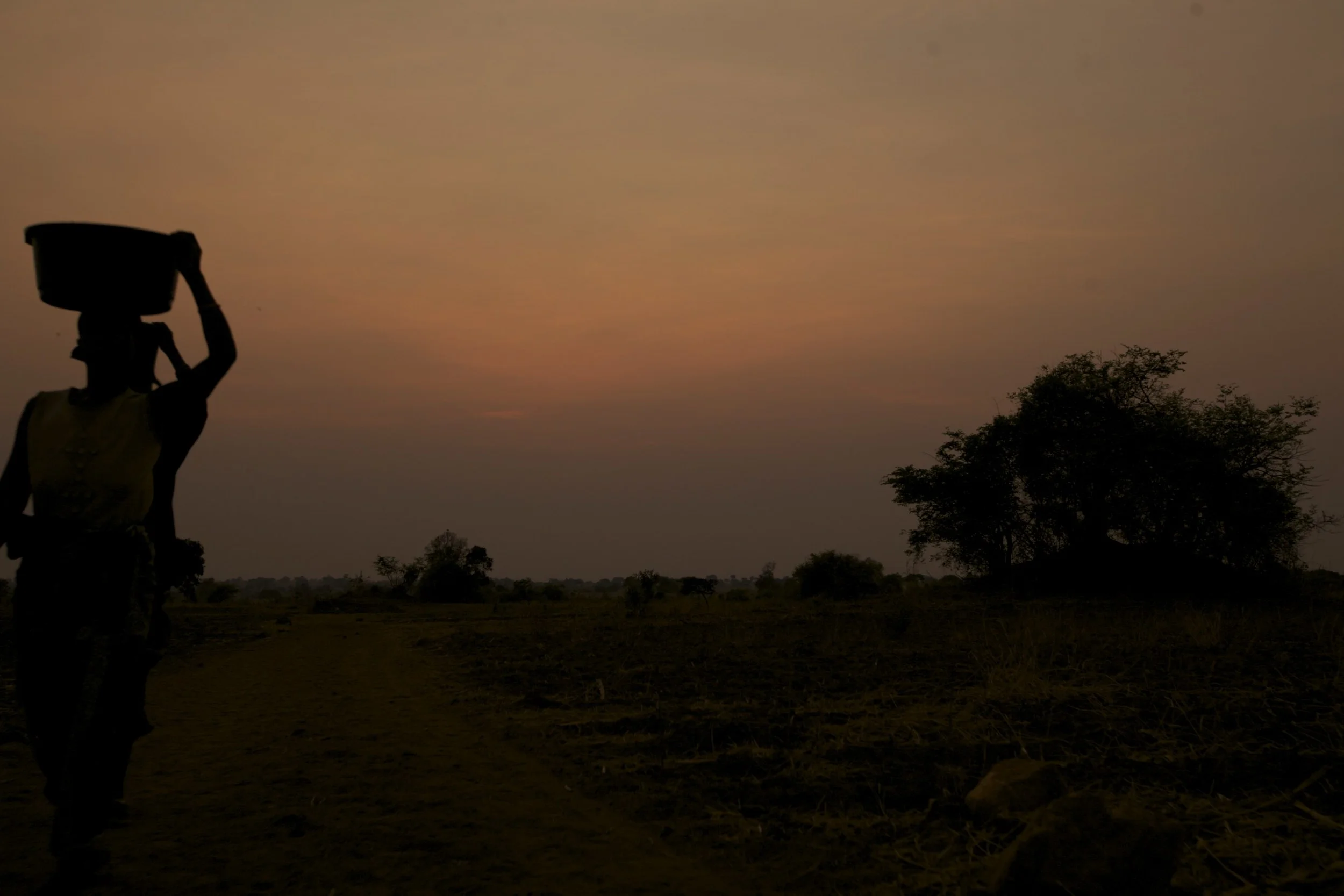 african morning.jpg