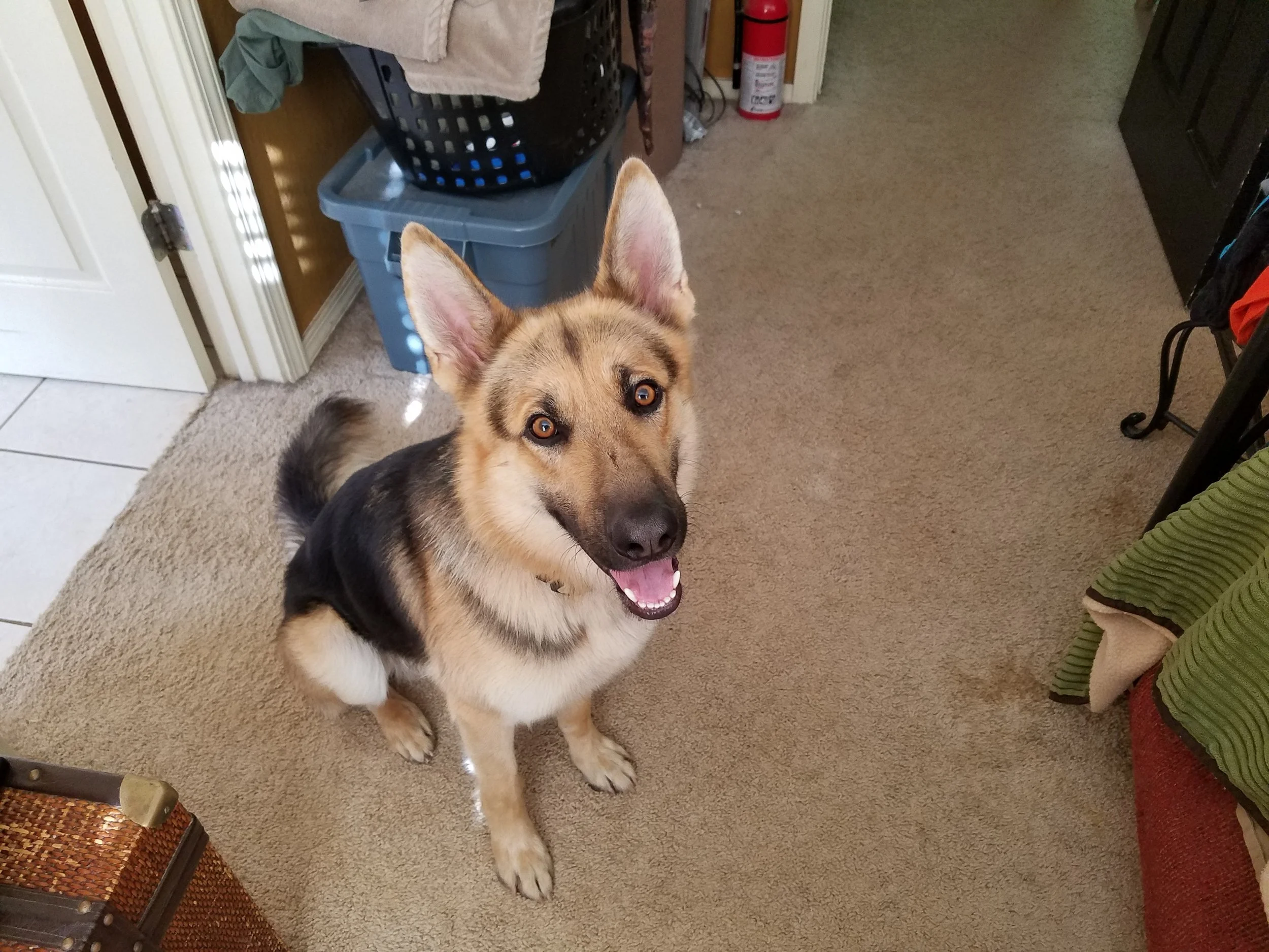 20170625_083419.jpg