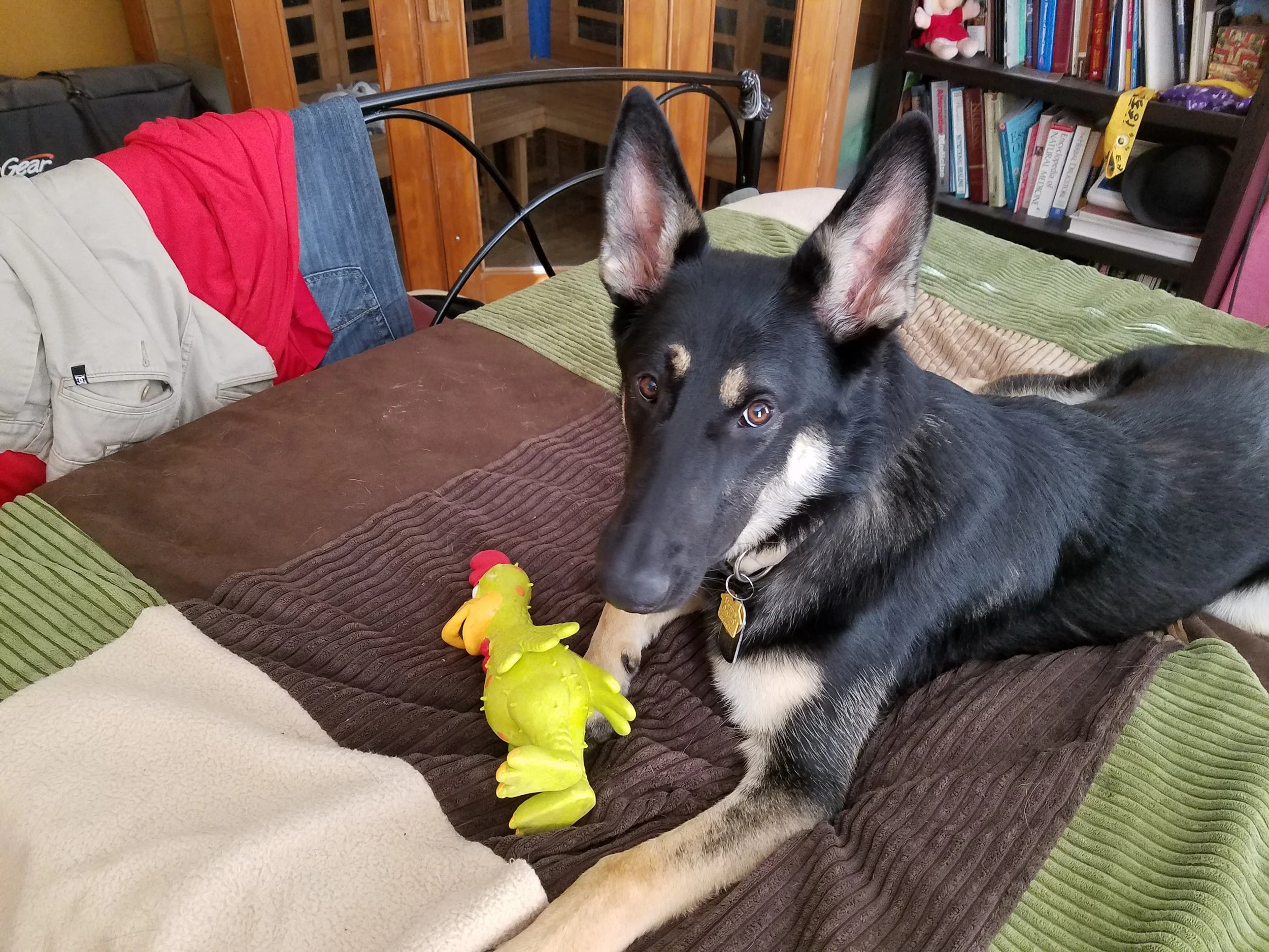 20170625_083423.jpg