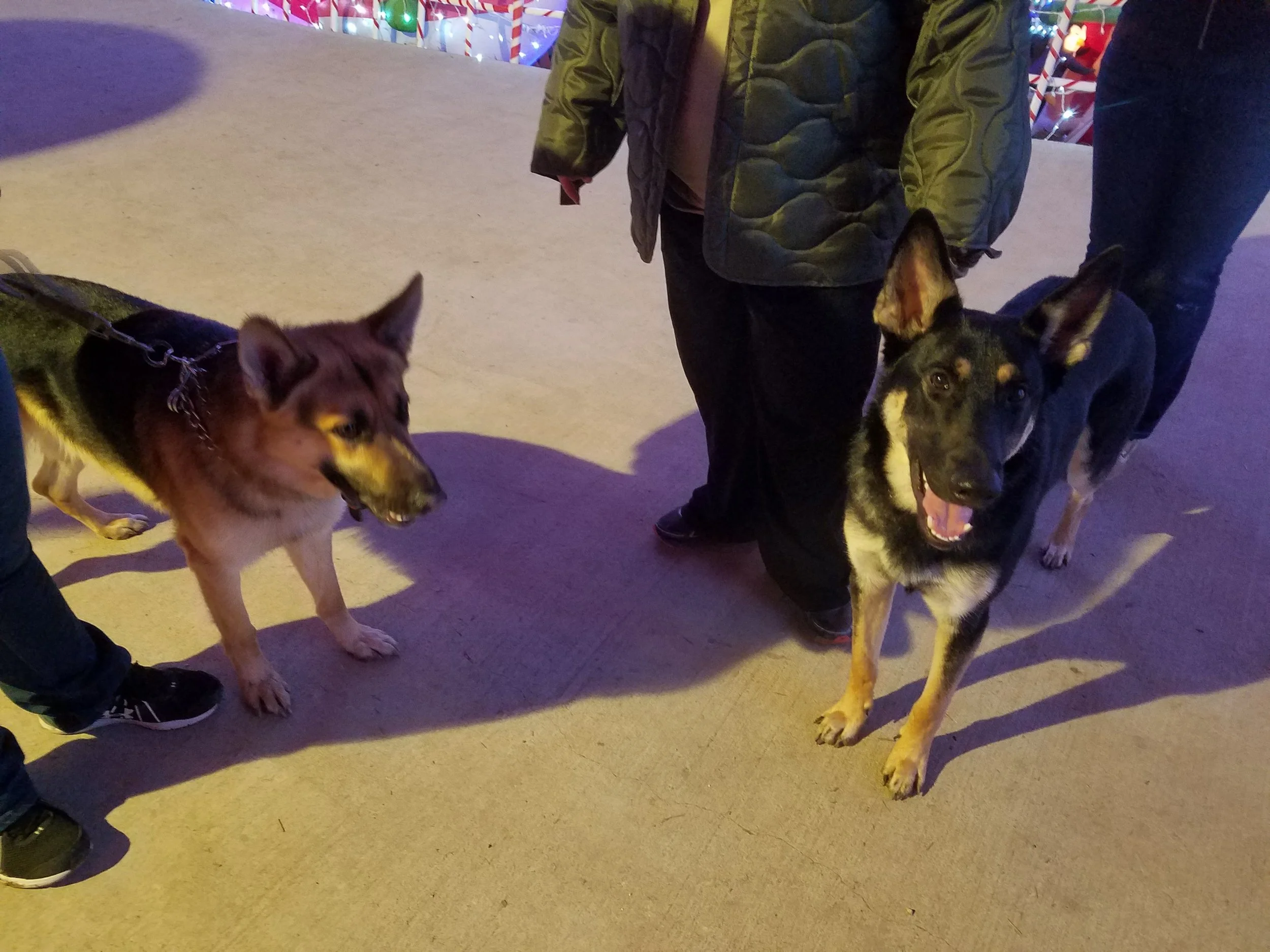 20171226_184311.jpg