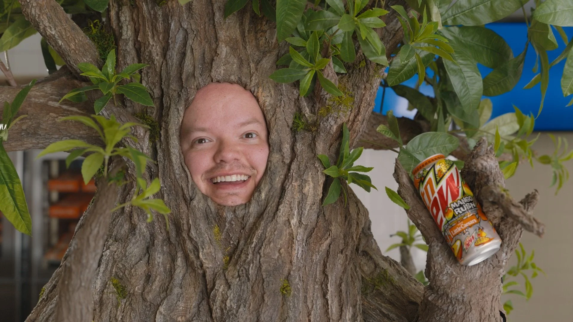 STILLS 20250320 - 05.jpeg