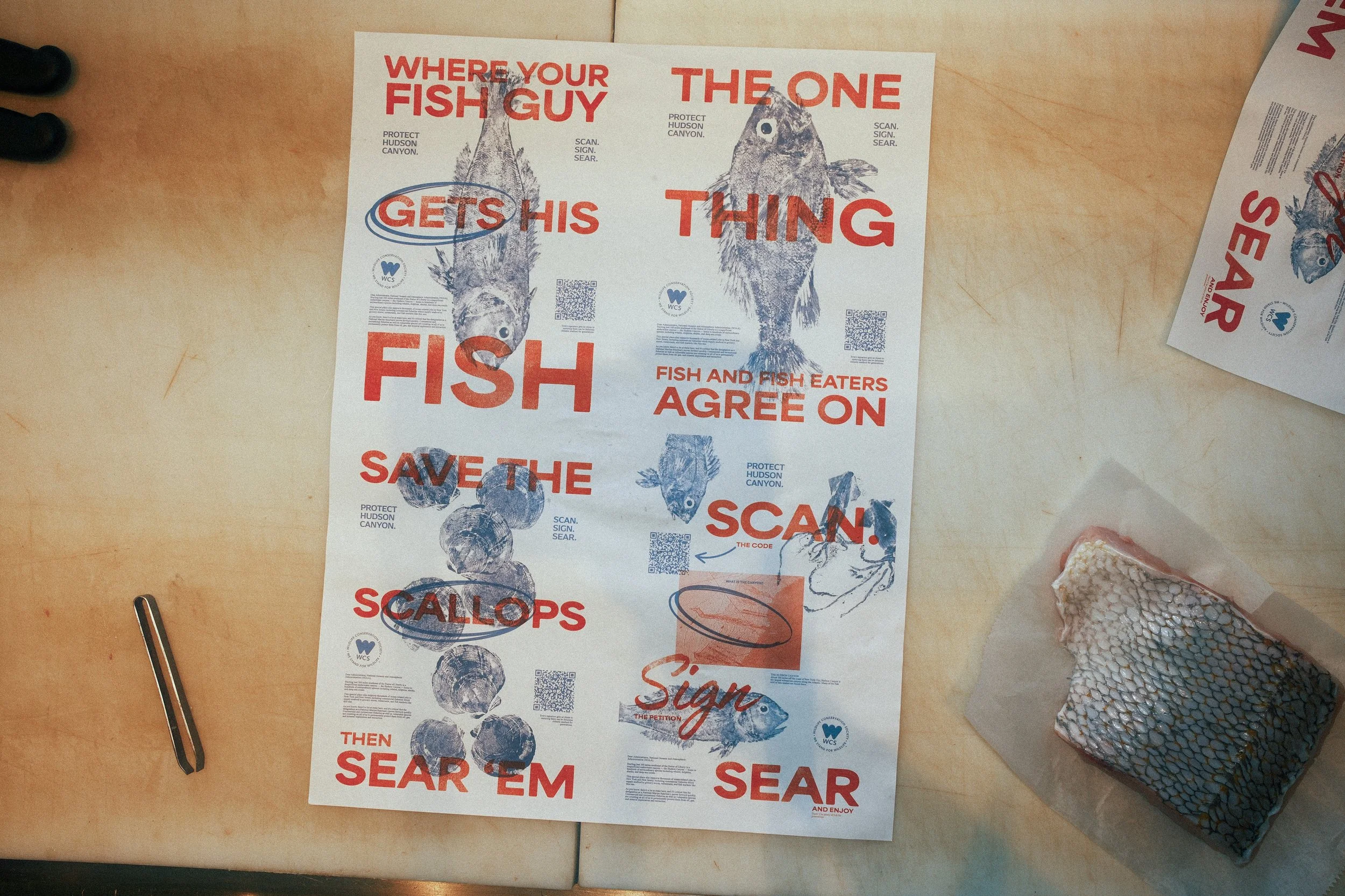 Fish Website Image 4.jpg