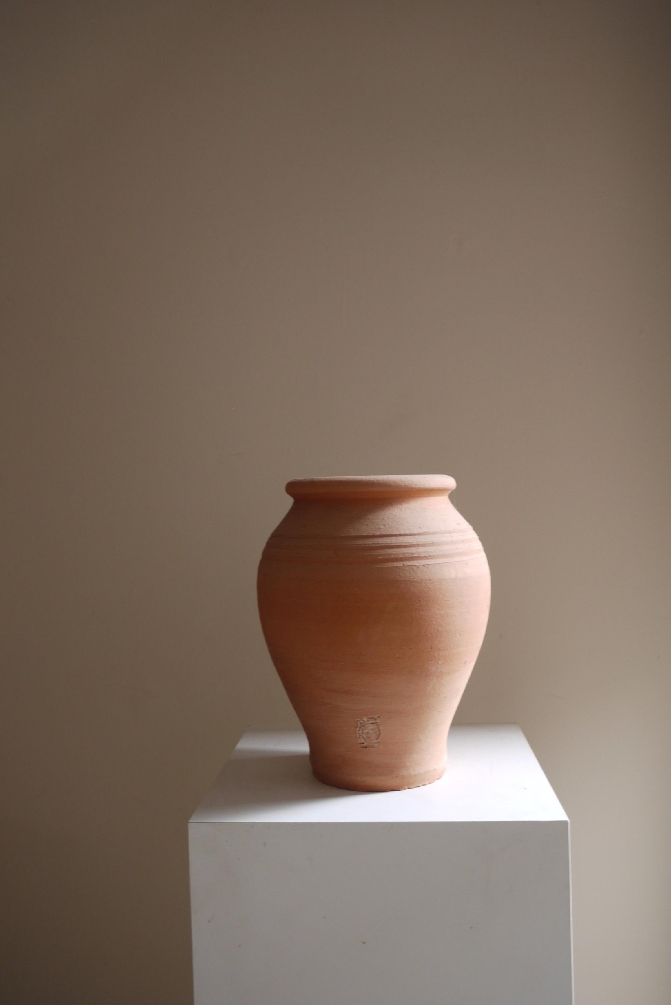 Cretan pot wildflower Ouseburn.jpg