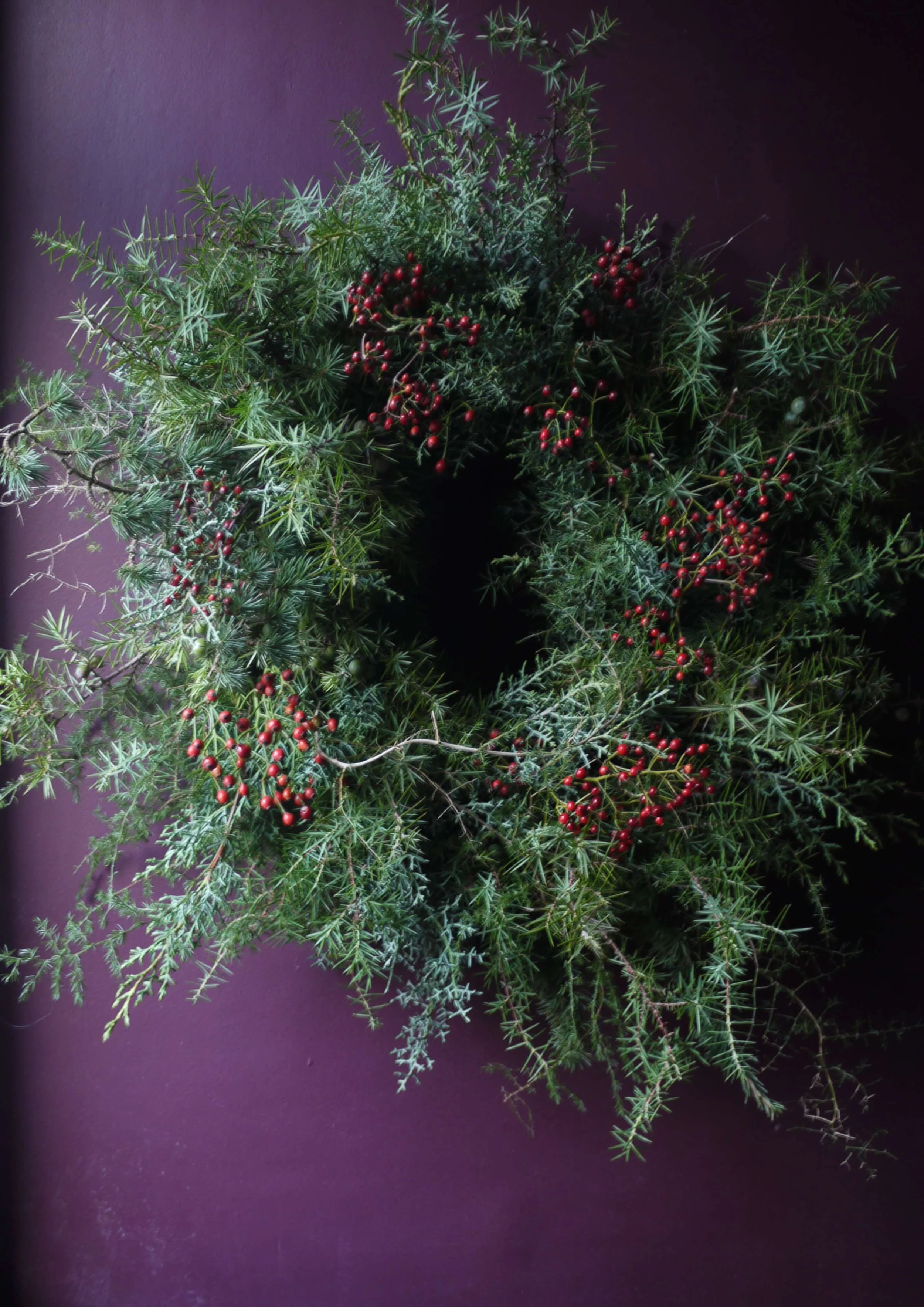 P1560630.png