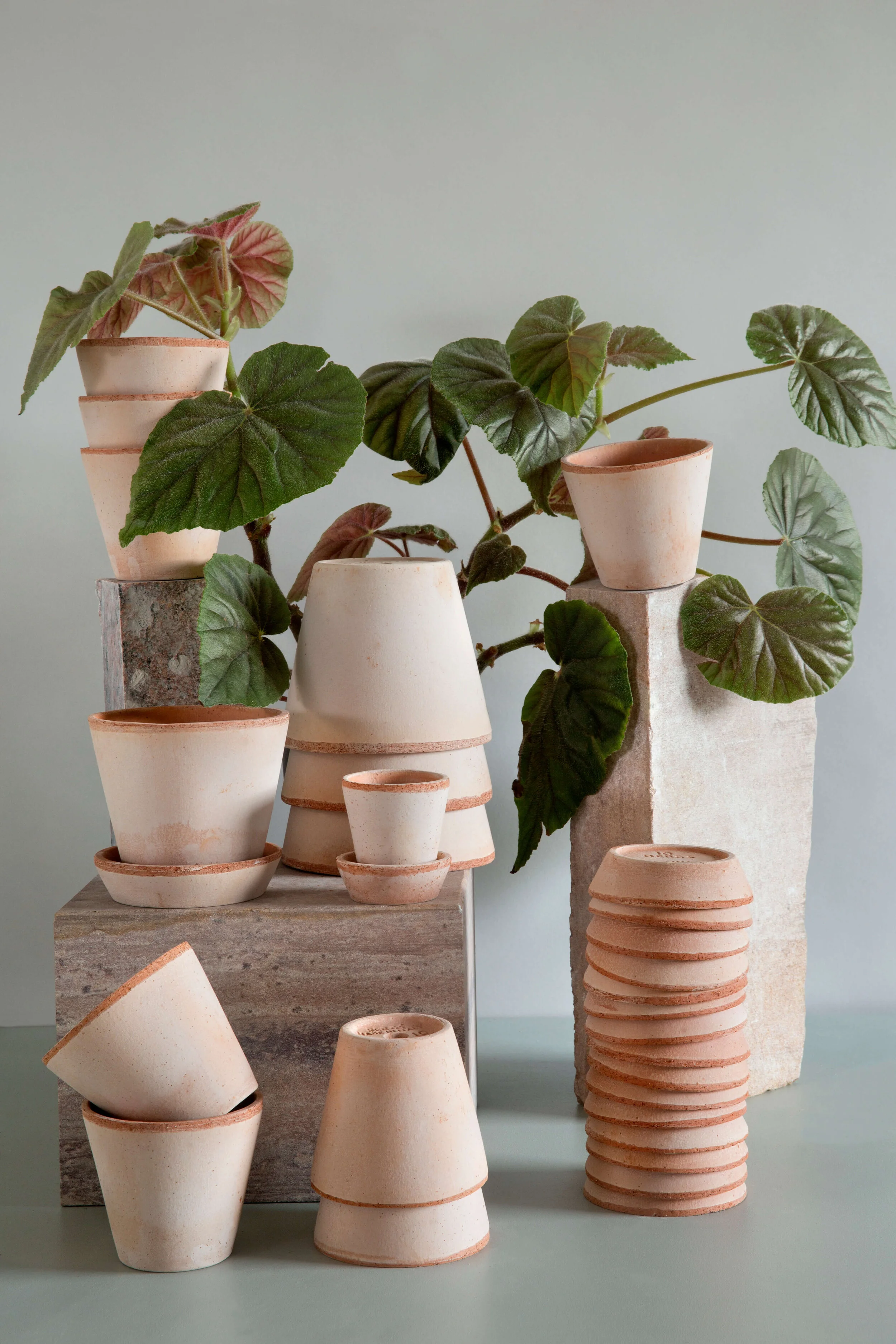 Bergs Potter Hoff Pots — WILDFLOWER