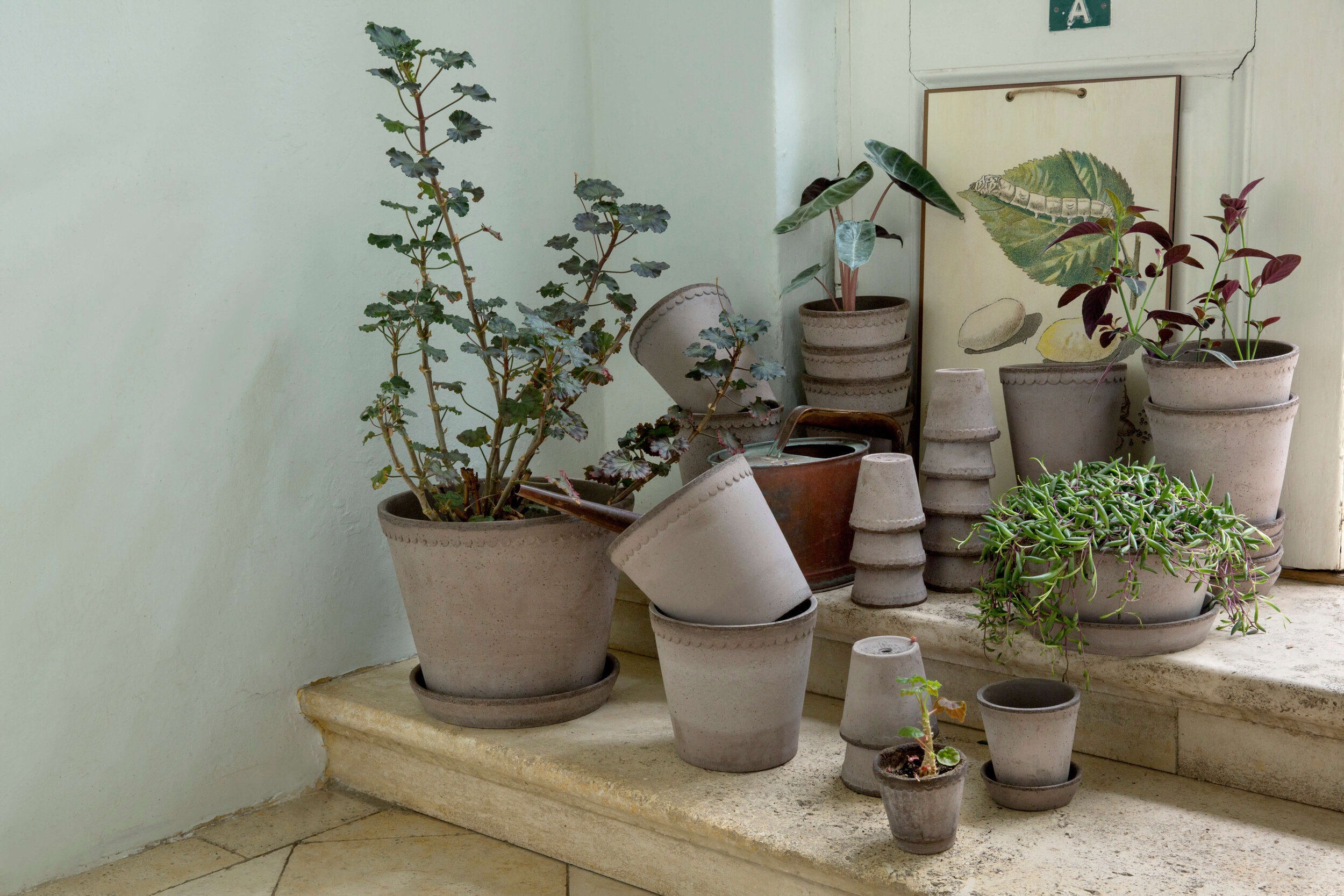 Bergs_Helena_graa_krukker_samling_stablet_planter.jpg