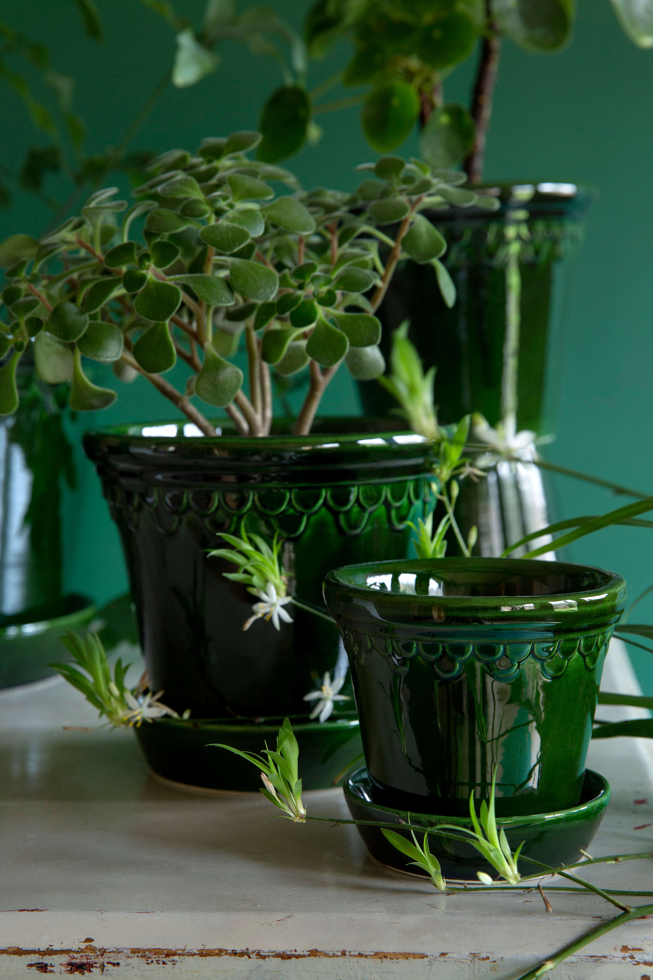 Bergs_Green_Copenhagen_Glazed_Planter.jpg