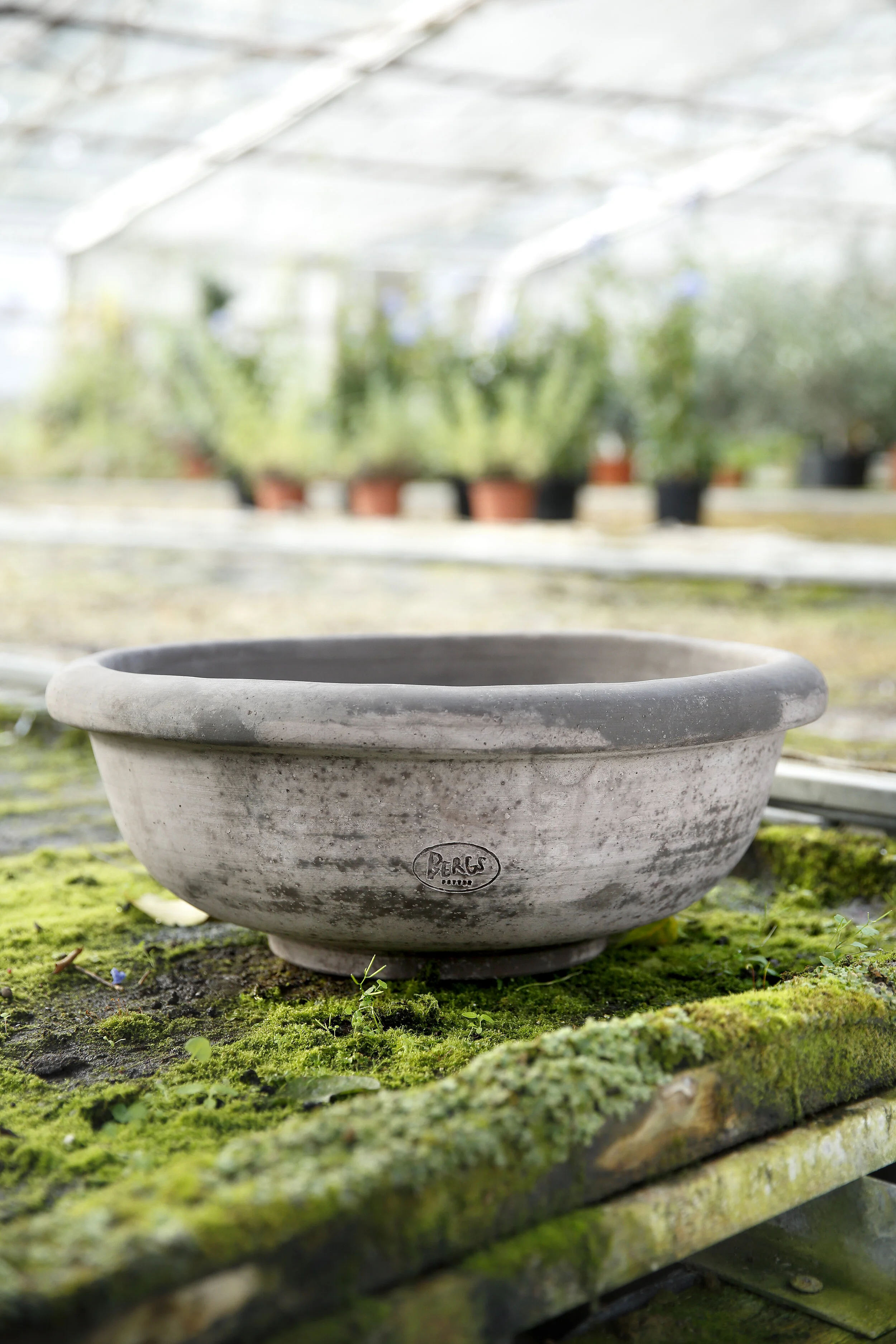 Bergs Potter Erbe Planter
