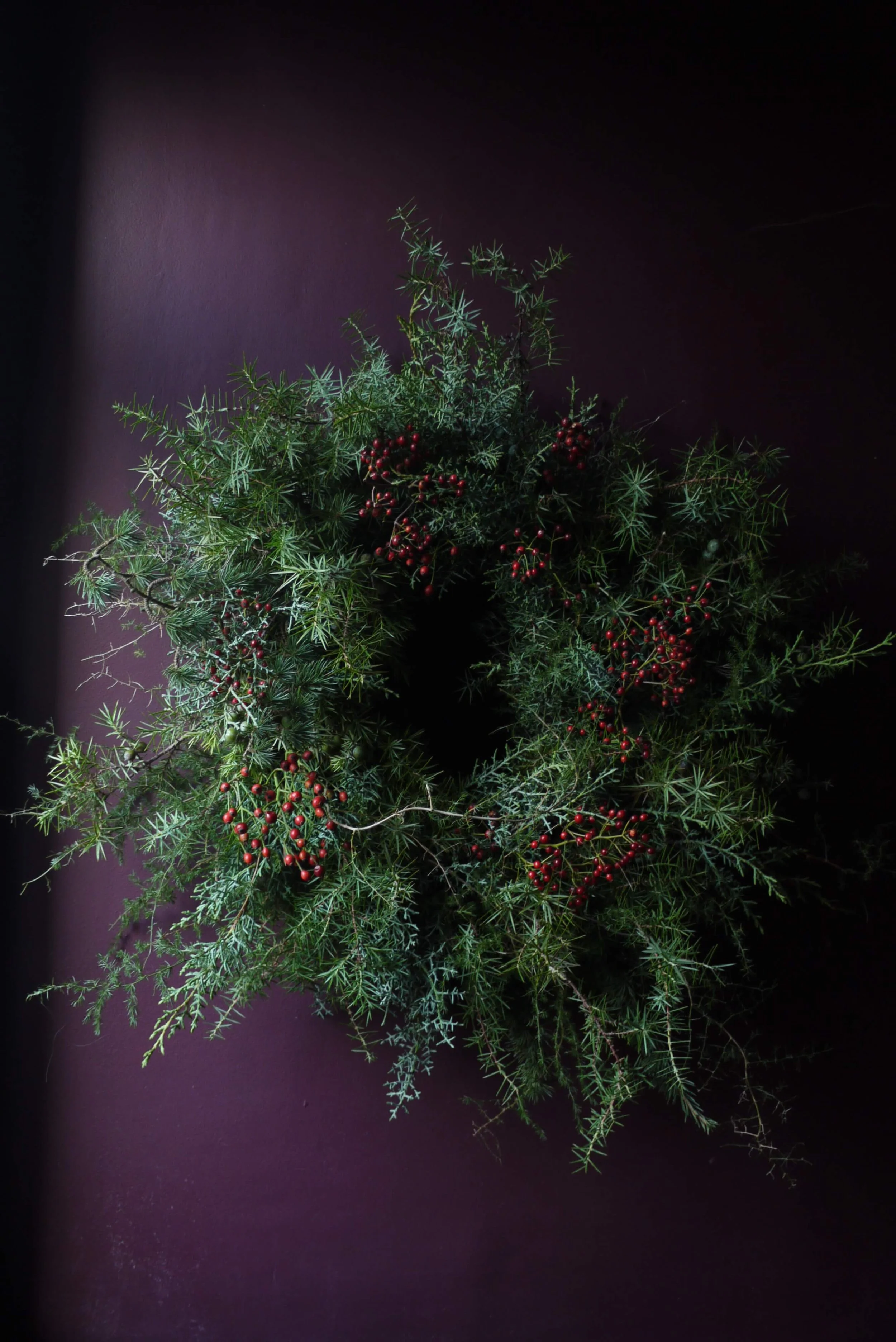 Juniper, Cedar & Rosehips