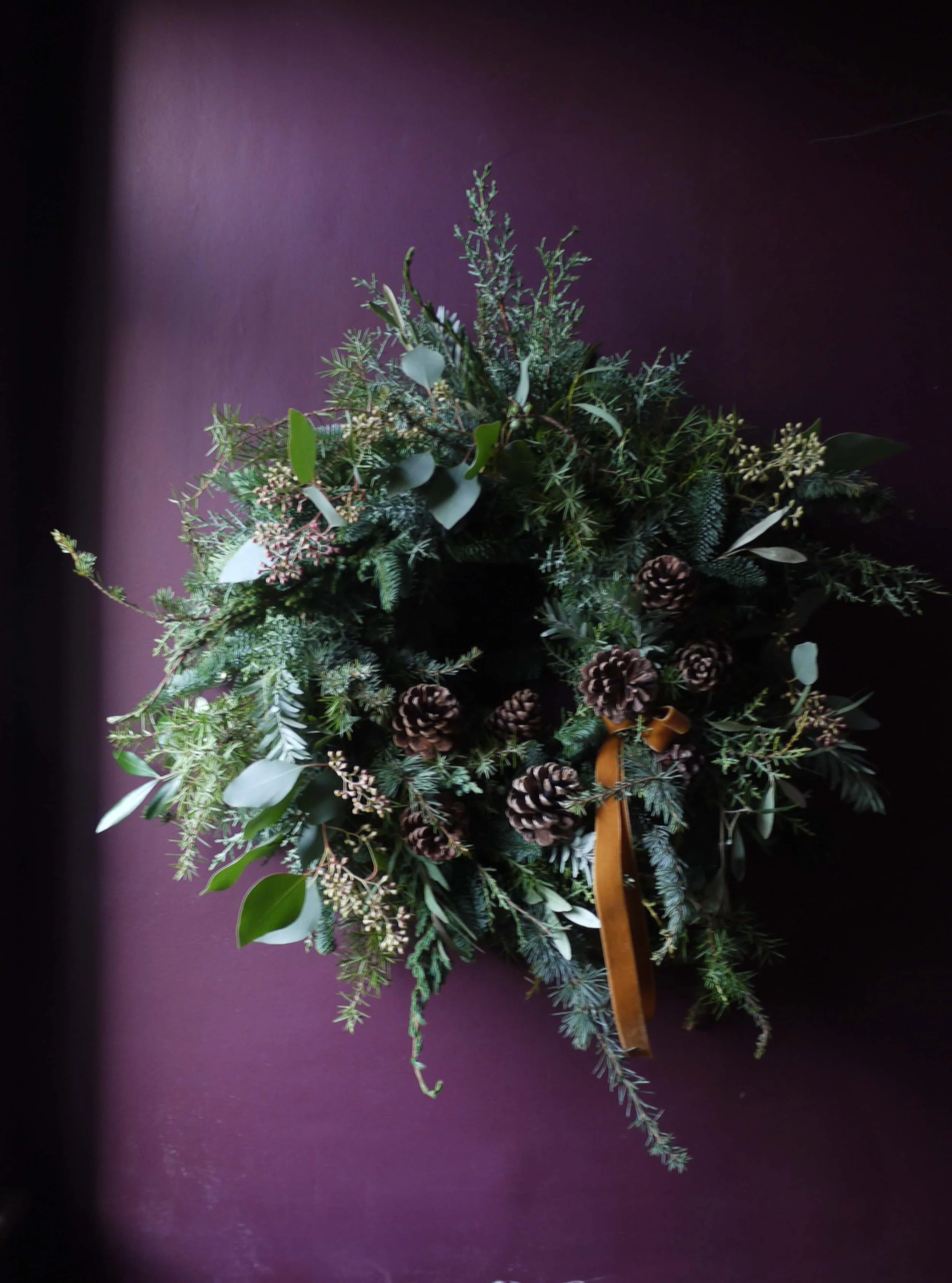 Cypress, Pine, Eucalyptus & Olive