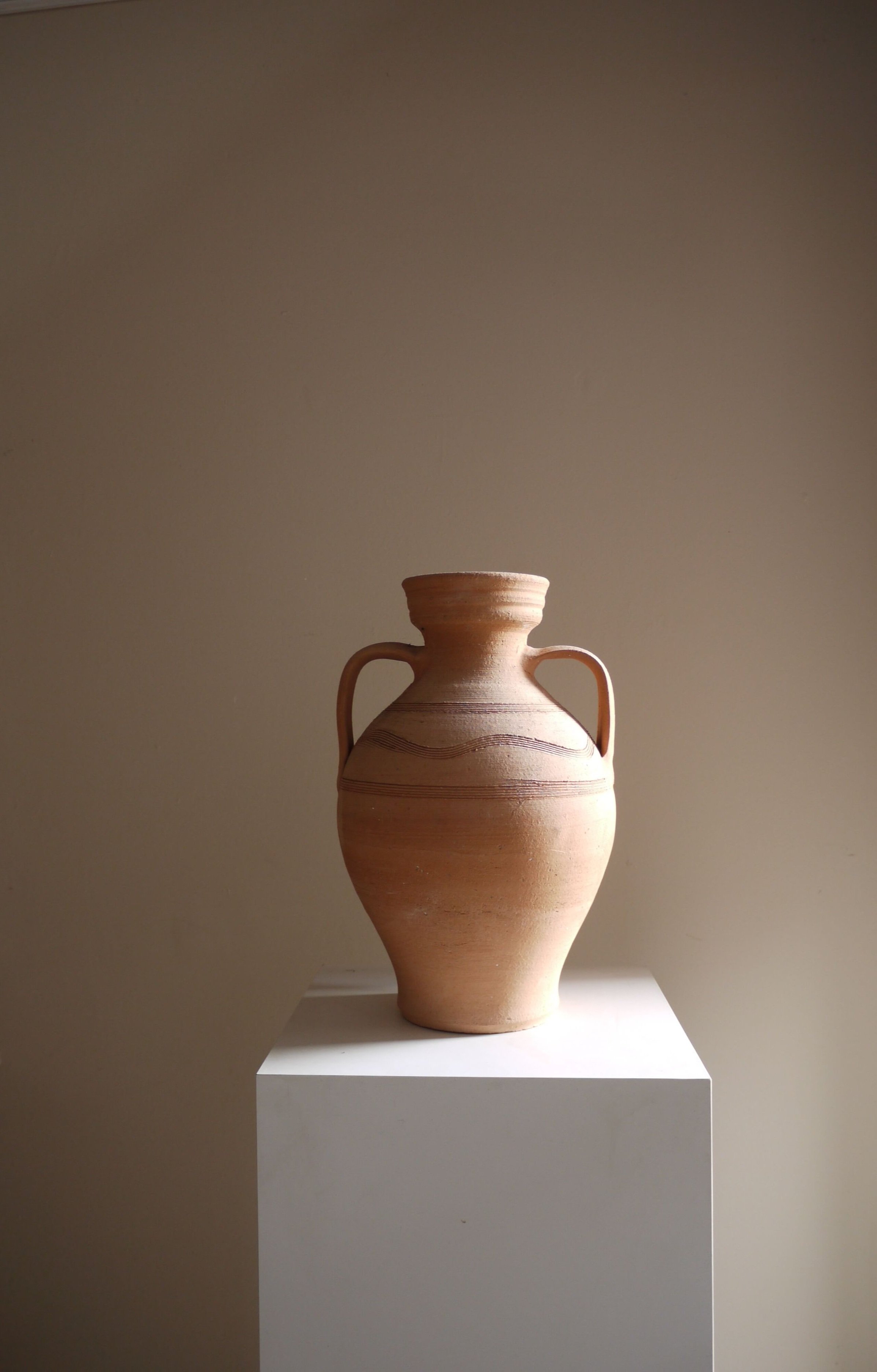 Cretan pot wildflower Ouseburn.jpg
