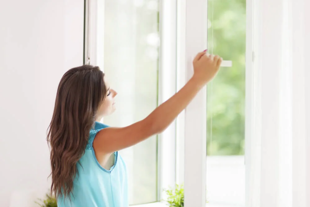Window washing and light home repair