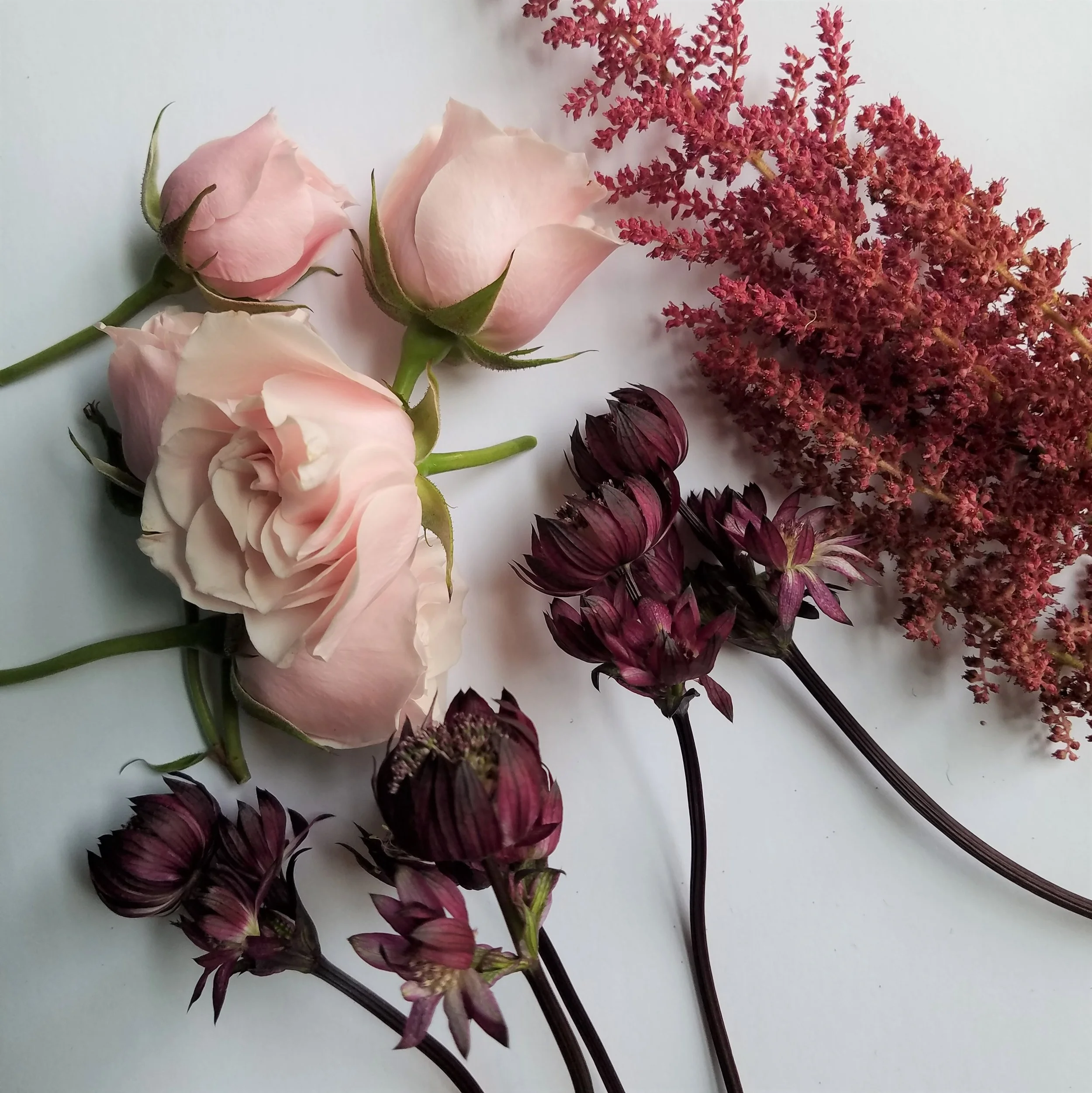 FlatLay.jpg