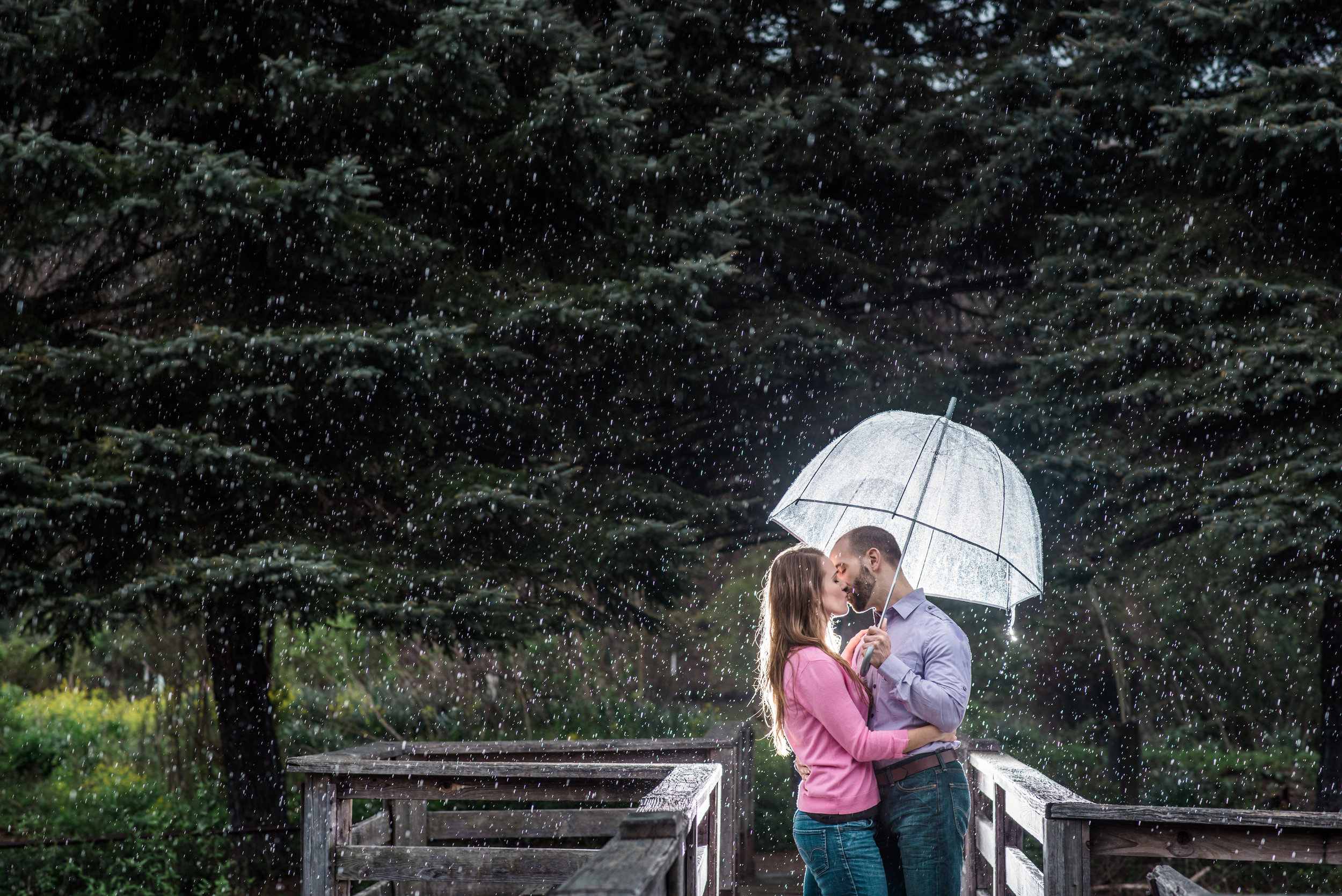 Pittsburgh Wedding Photographer | Engagement Photographer | North Park Pittsburgh Pa 22