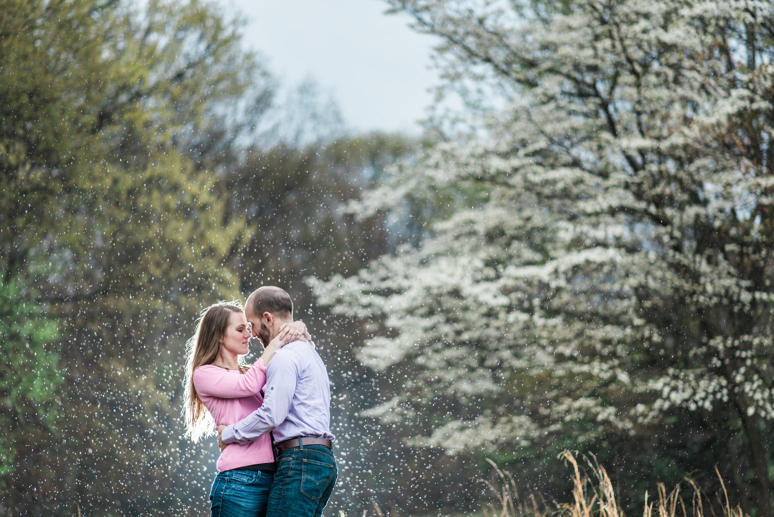 Pittsburgh Wedding Photographer | Engagement Photographer | North Park Pittsburgh Pa 29