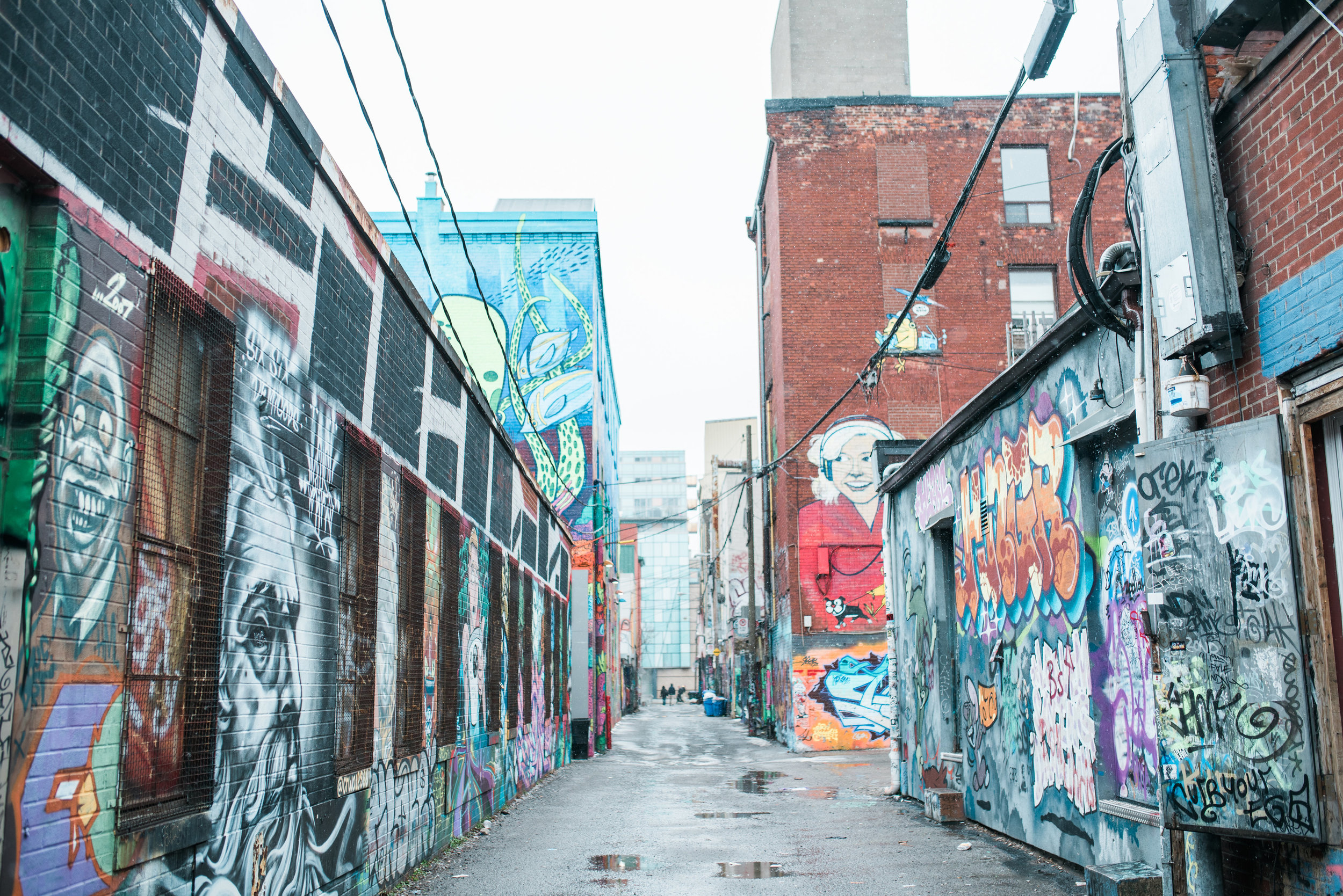  The trip started with a 12 hour layover in Toronto, where we explored the Graffiti Alley. 