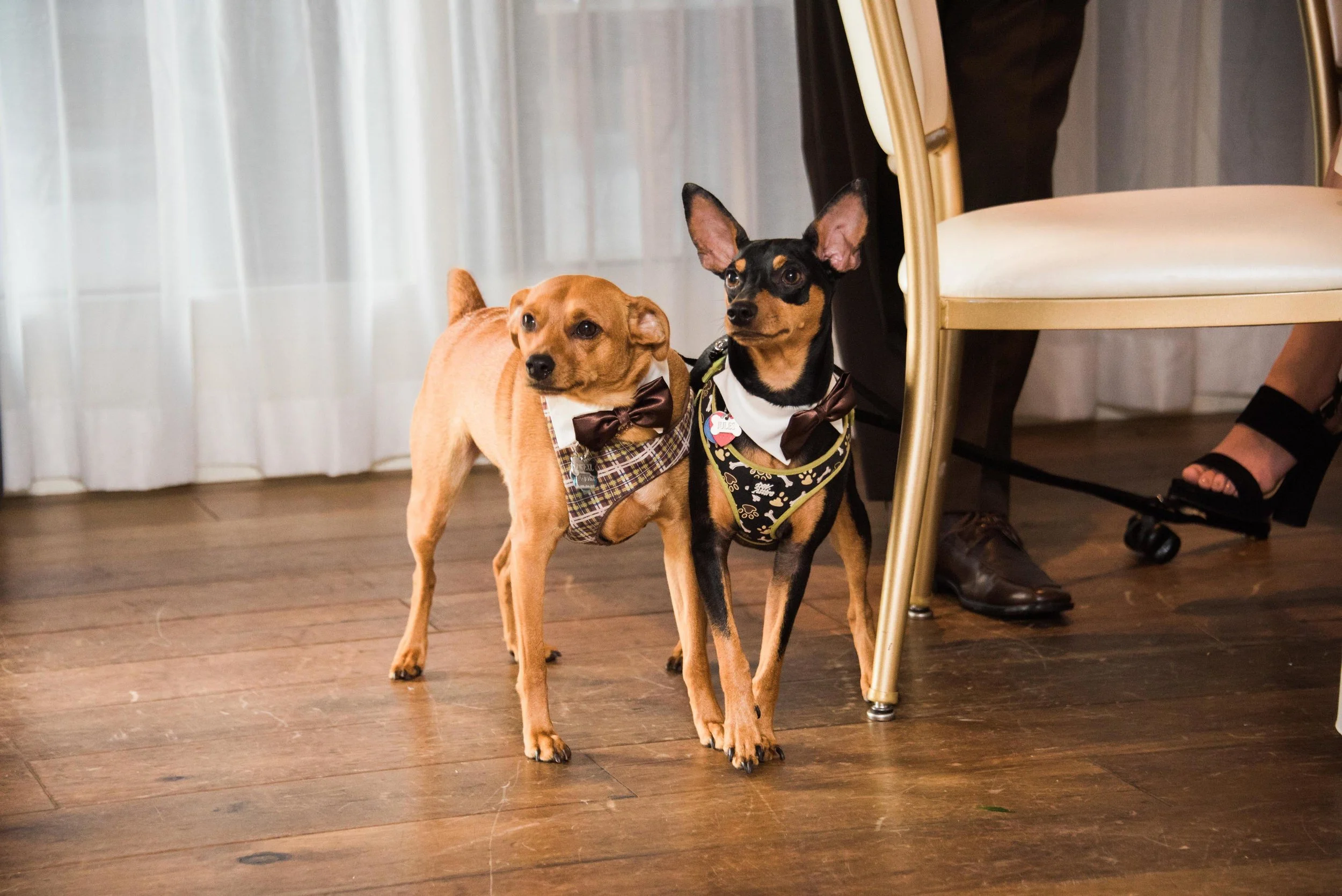 pittsburgh wedding photographers hotel monaco