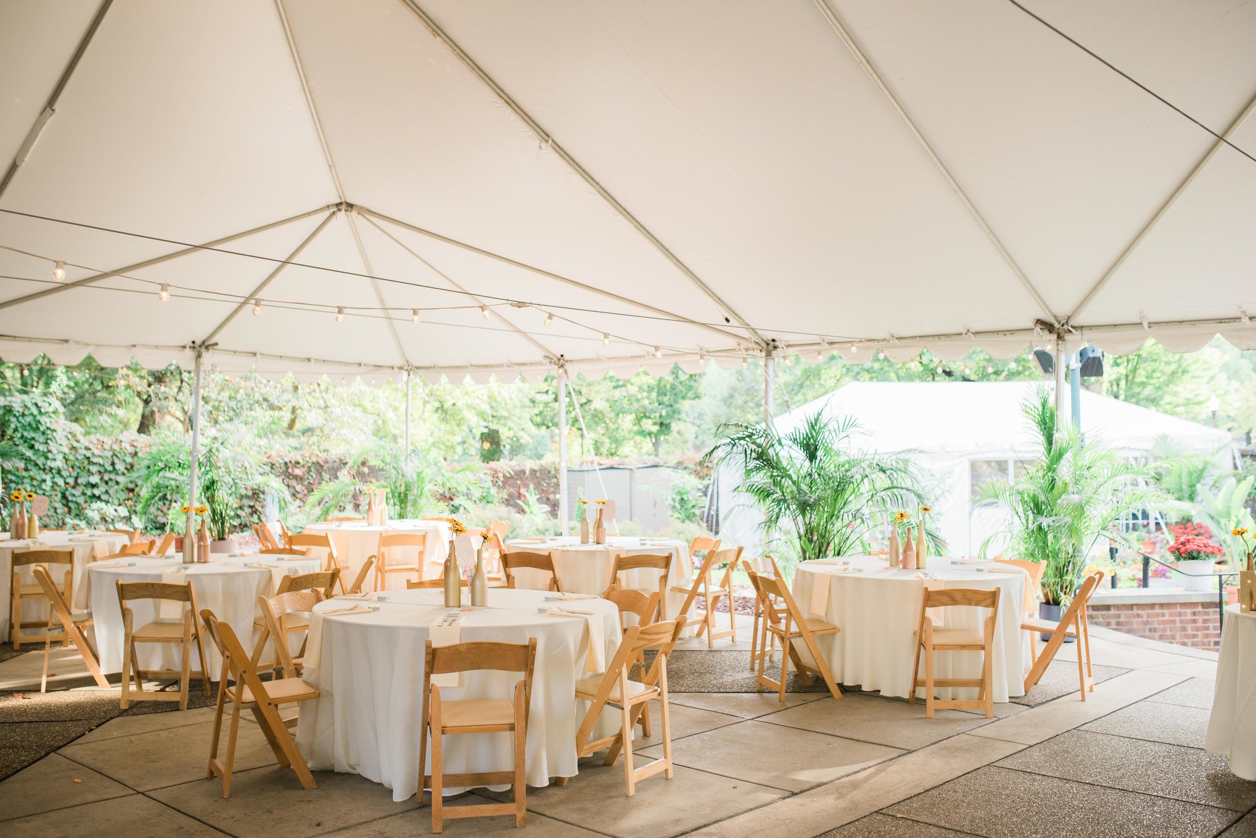 pittsburgh wedding photographers national aviary