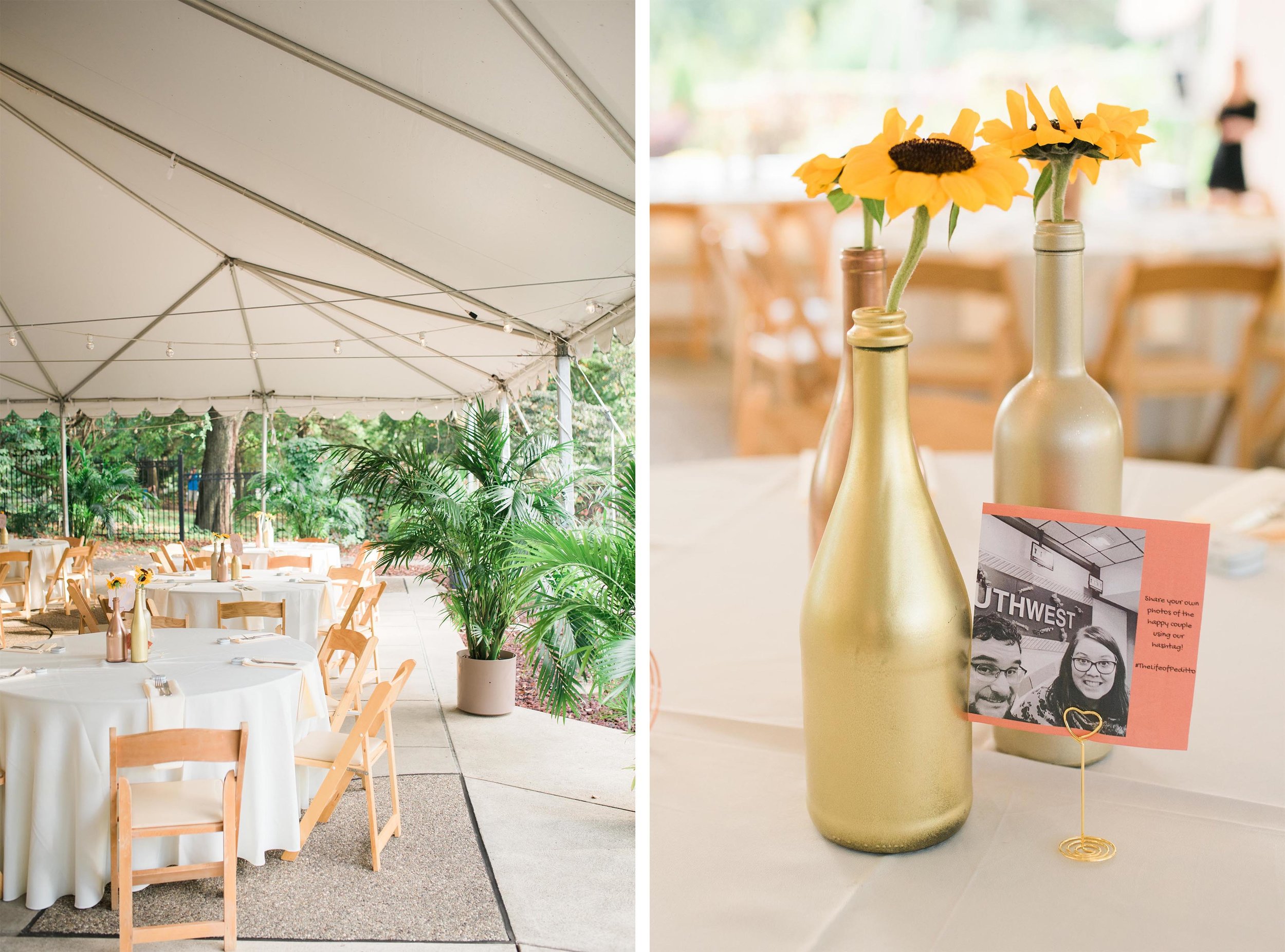 pittsburgh wedding photographers national aviary