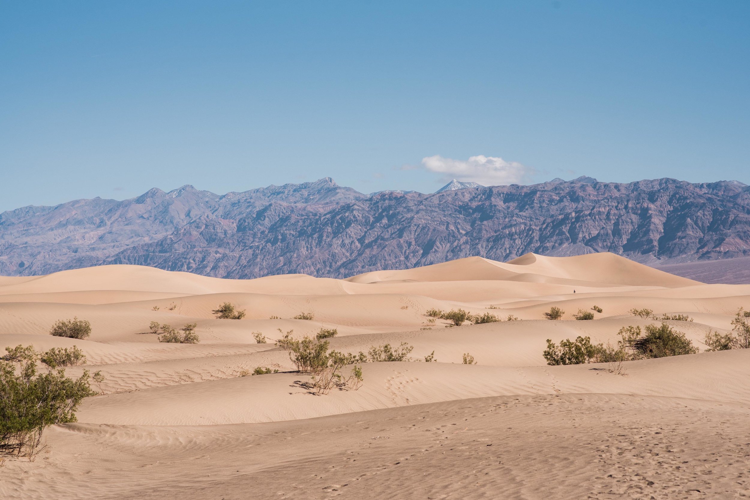 vegas photographer travel
