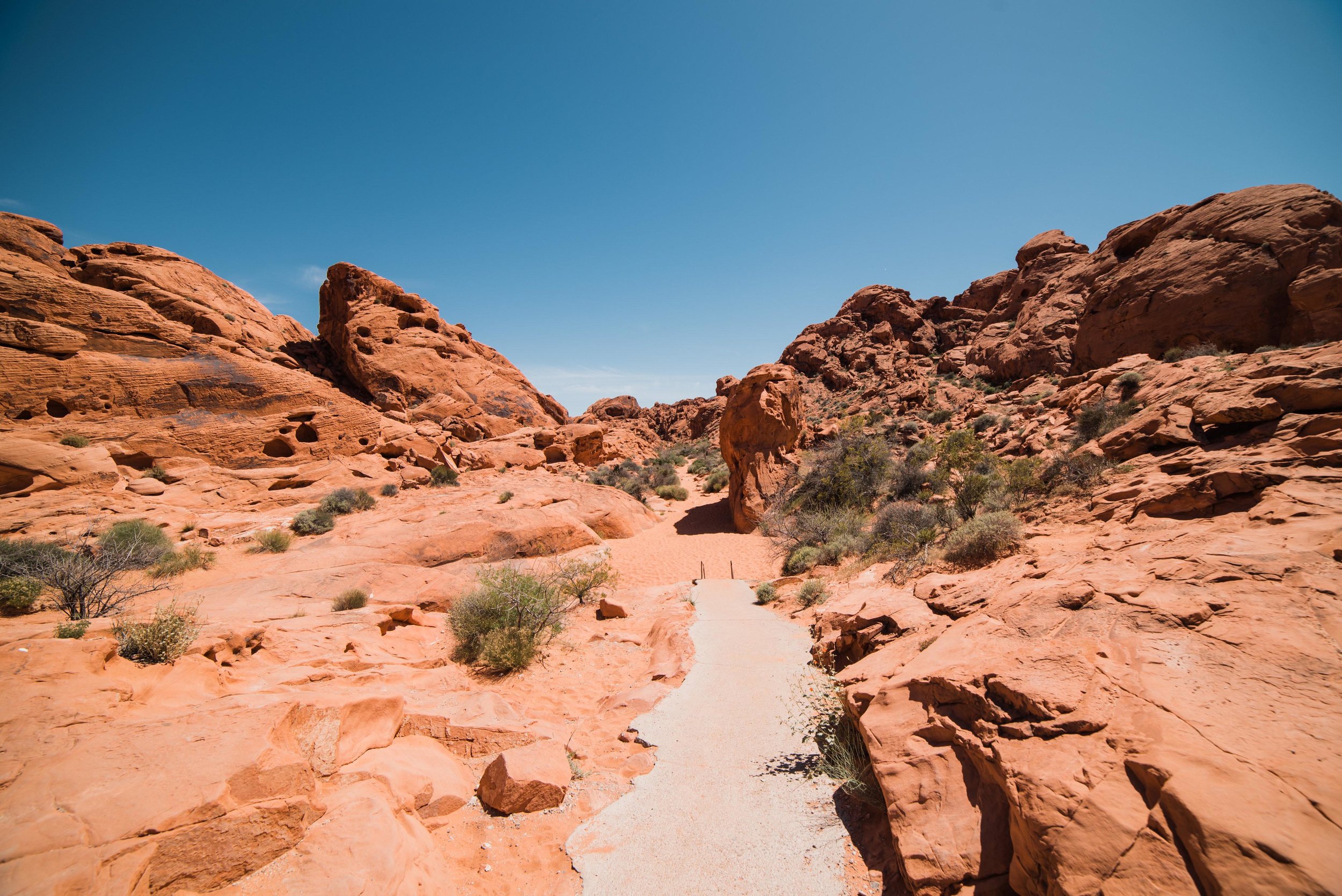 vegas photographer travel