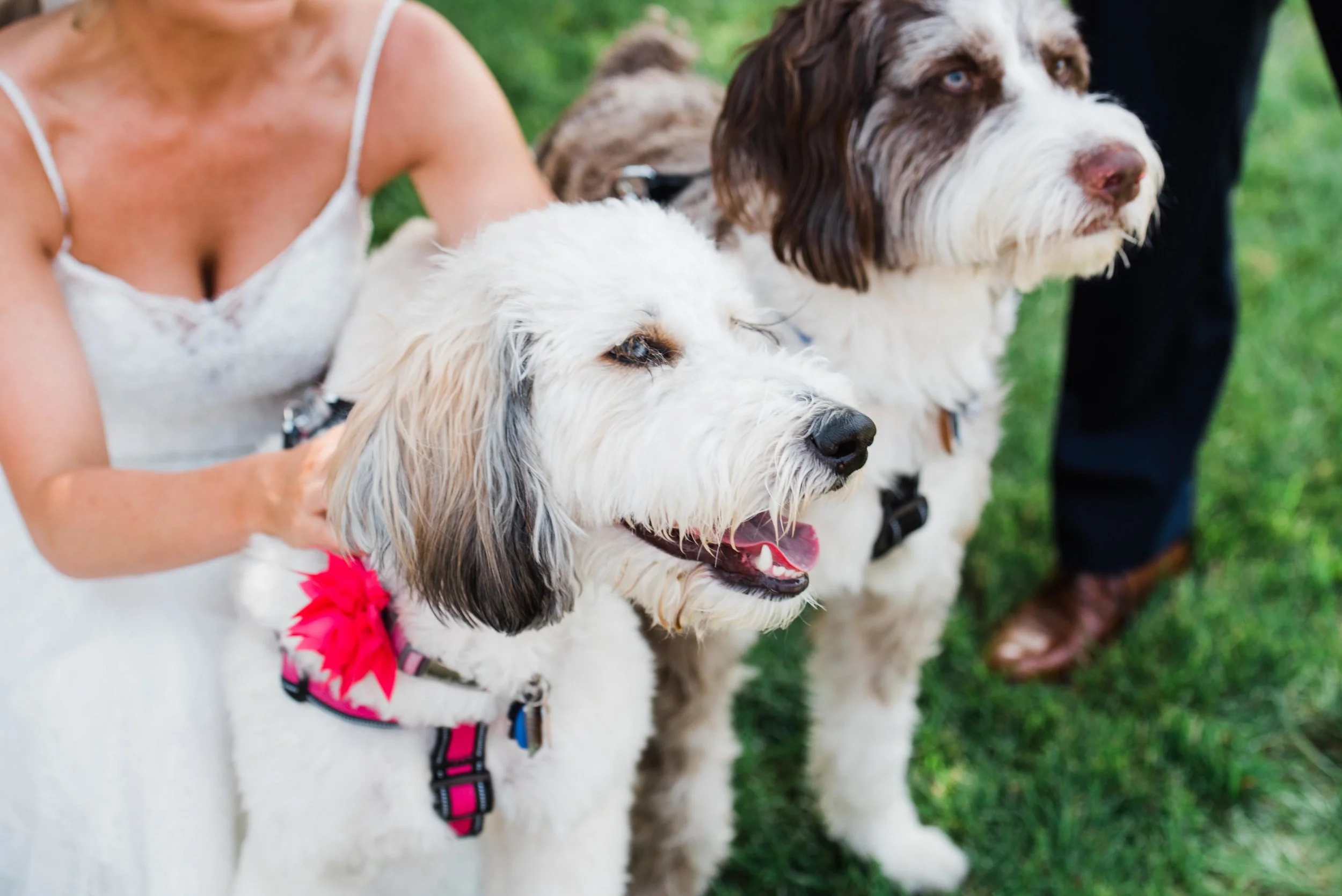 pittsburgh wedding photographer, pittsburgh marriott north
