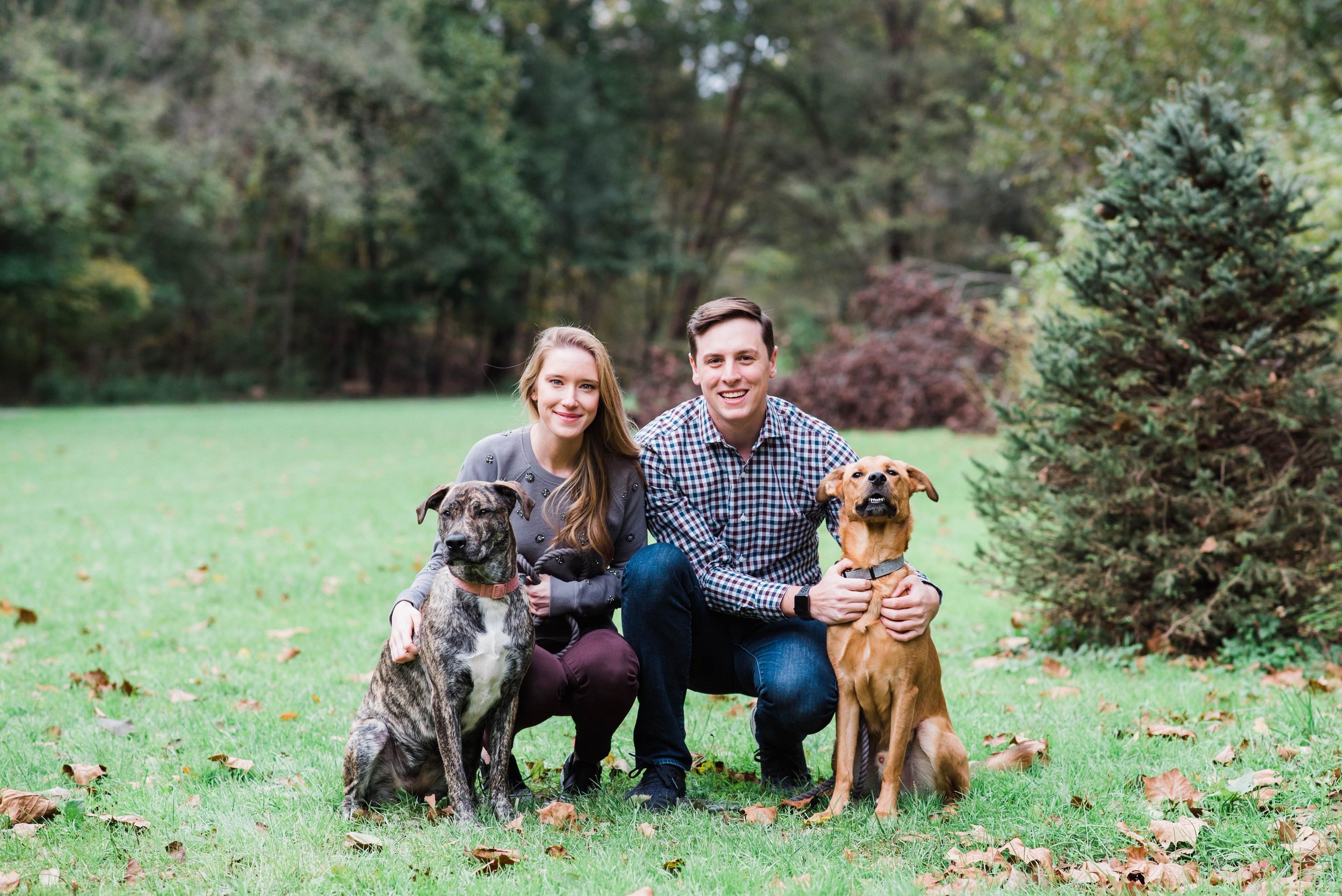 frick park engagement pittsburgh wedding photographer