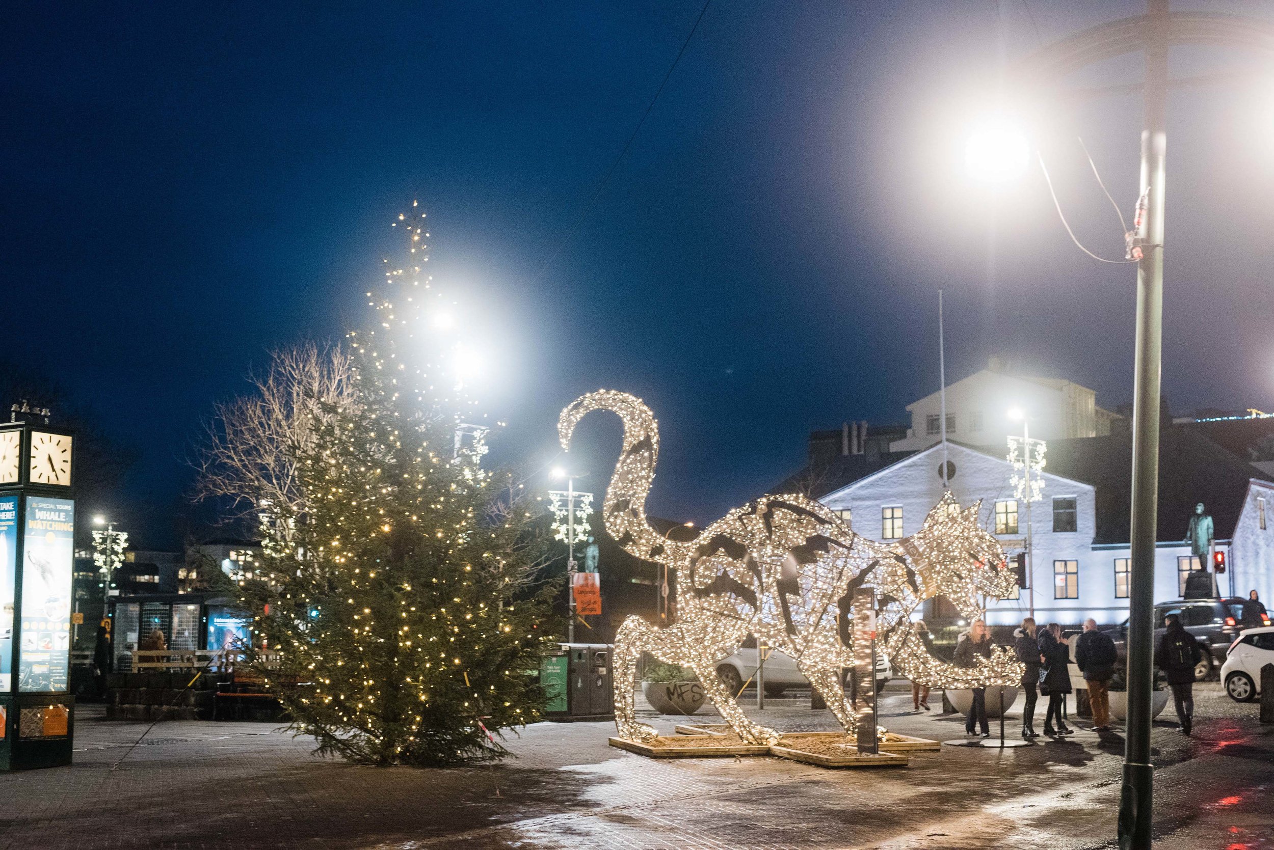 Iceland Travel Photographer 