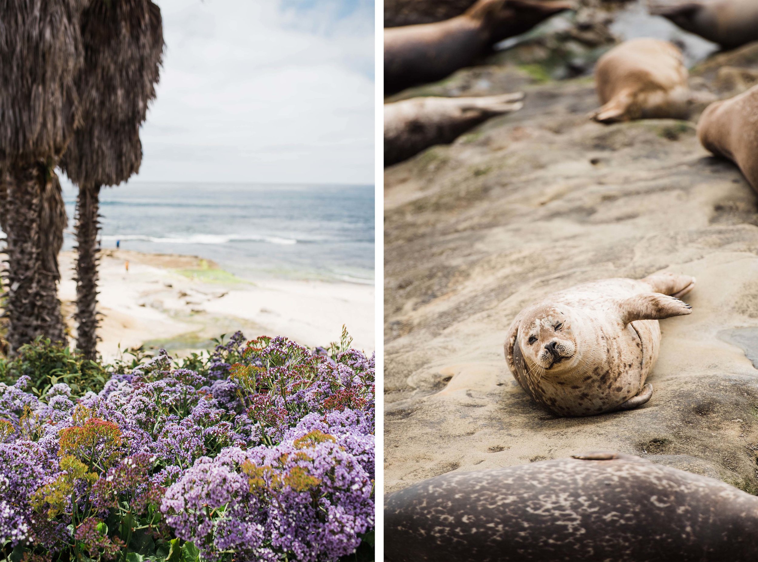 San Diego Travel Photographer