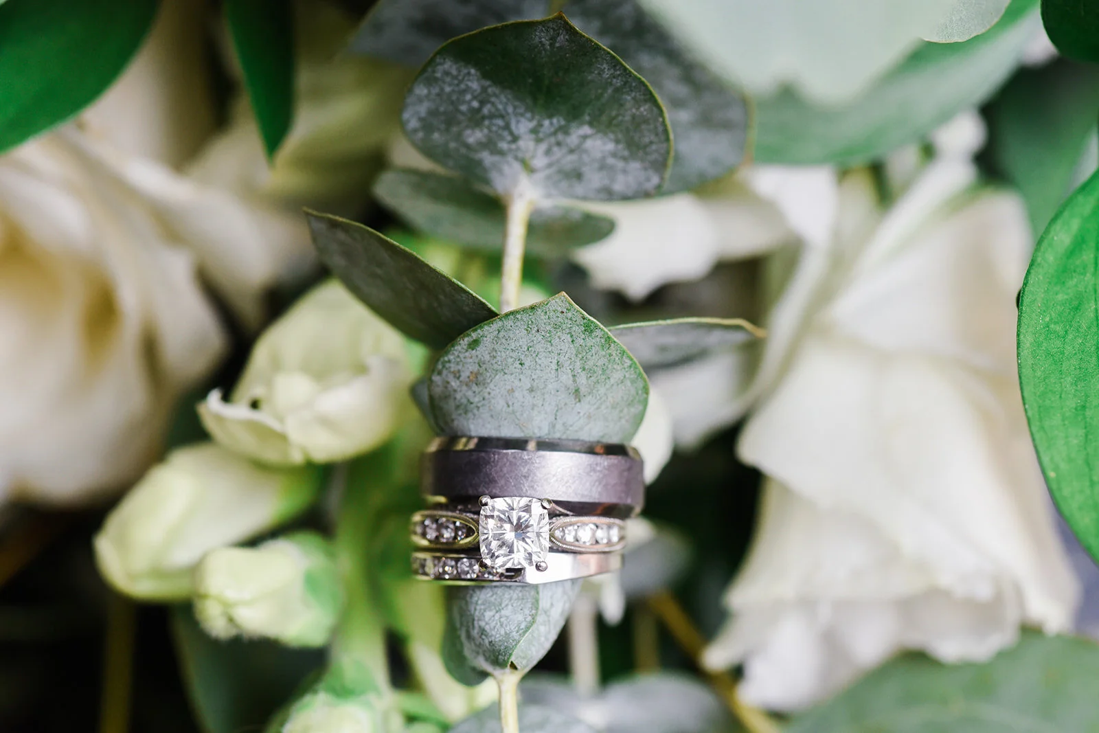 sheraton pittsburgh wedding