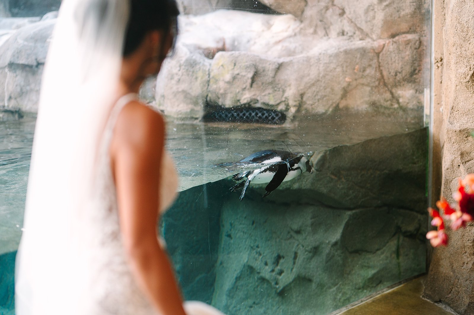 national aviary wedding pittsburgh