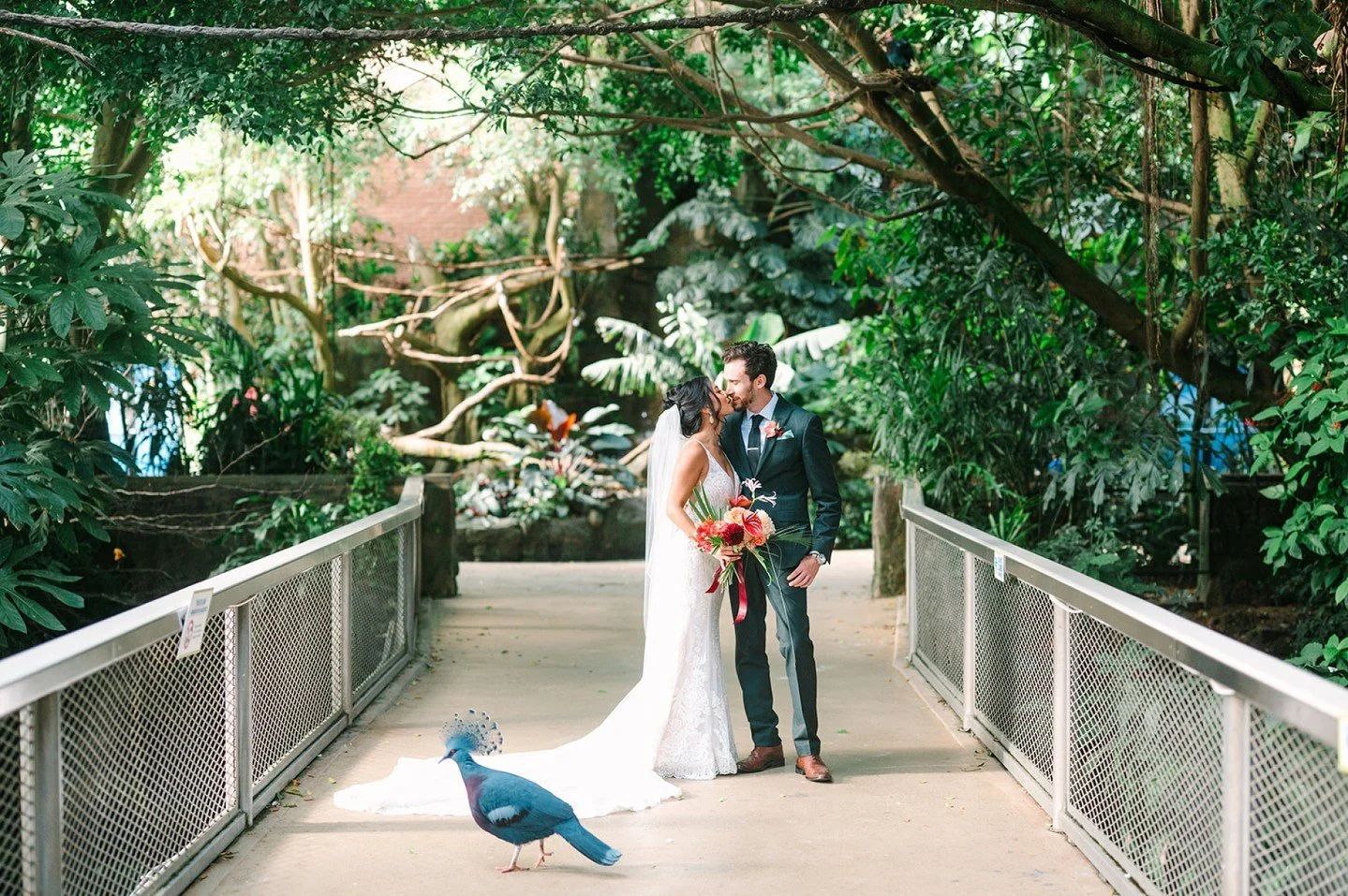 Why is The Aviary such a fun wedding venue? Because where else can you celebrate with penguins and have an unforgettable event all in one place?! 🎉🐧

It&rsquo;s a venue that&rsquo;s not only visually stunning but also brings an element of fun and s
