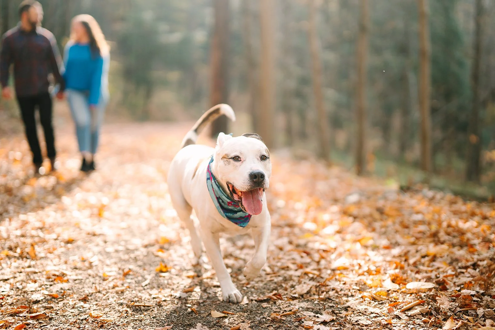 lindsey and jd-19_websize.jpg