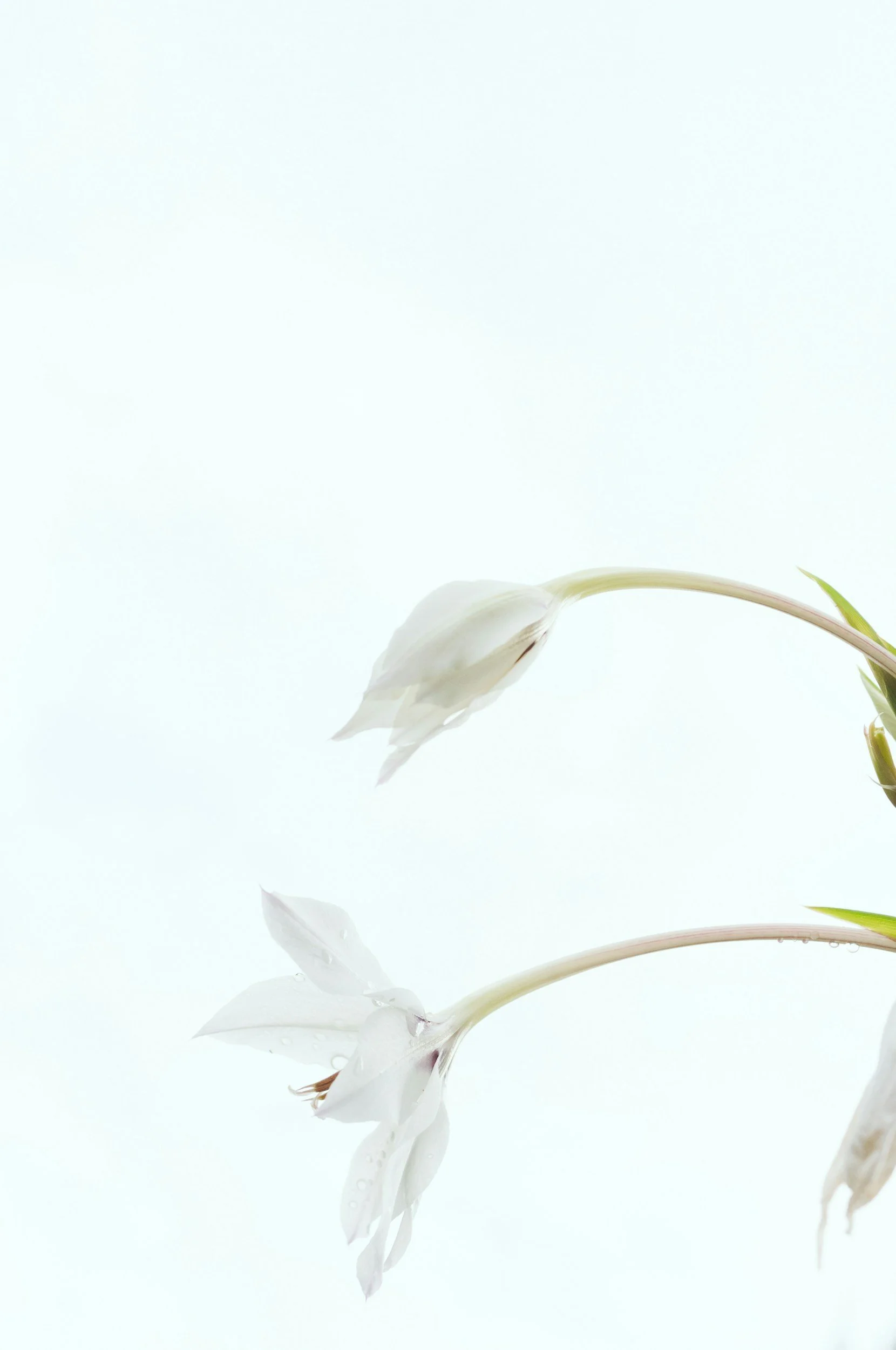 unsplash-image-WDqhwBOAl9o.jpg