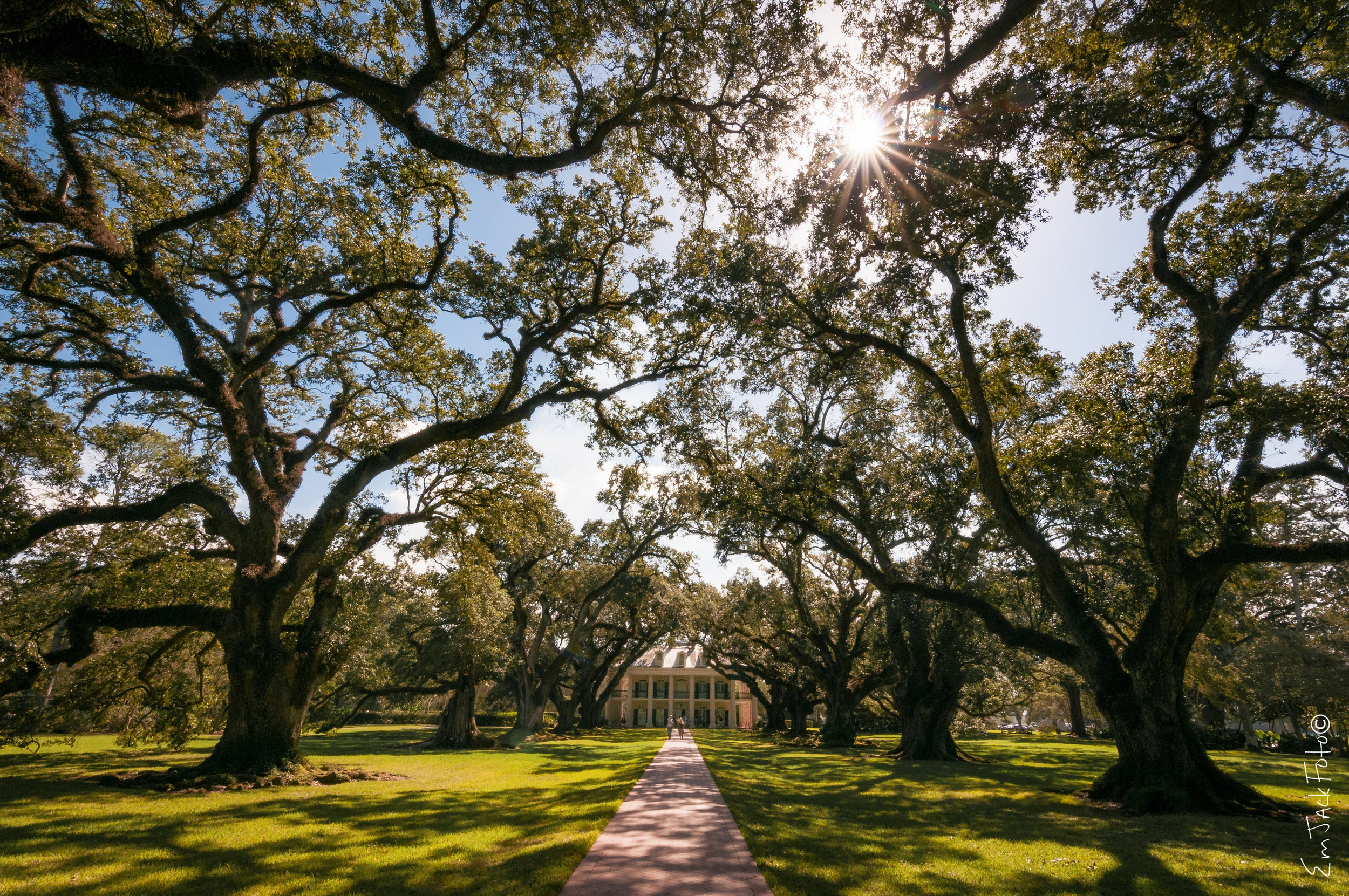 Oak Alley plantation (yes, it is the one from Interview with the Vampire). &nbsp; &nbsp;