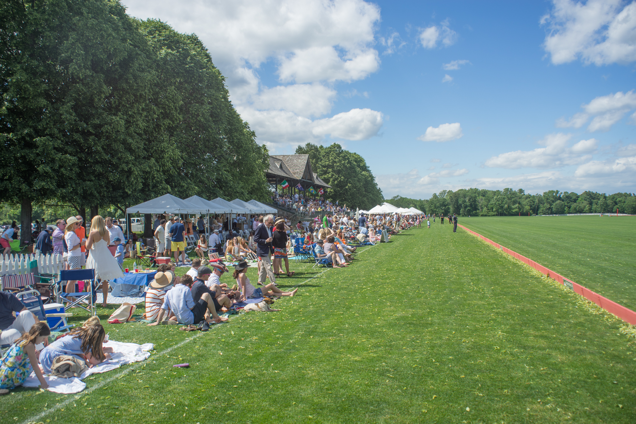 Greenwich Polo-21.jpg