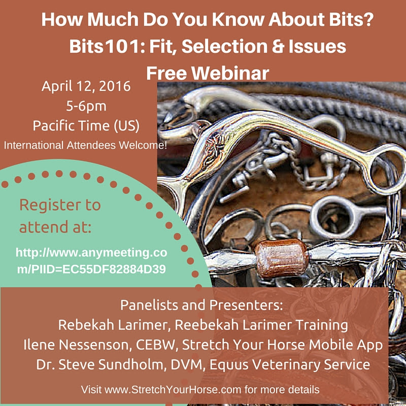 Bit Webinar