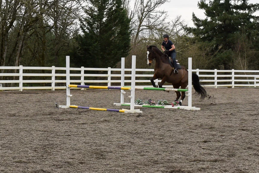 Hen's Tooth Photograhy-0334.jpg