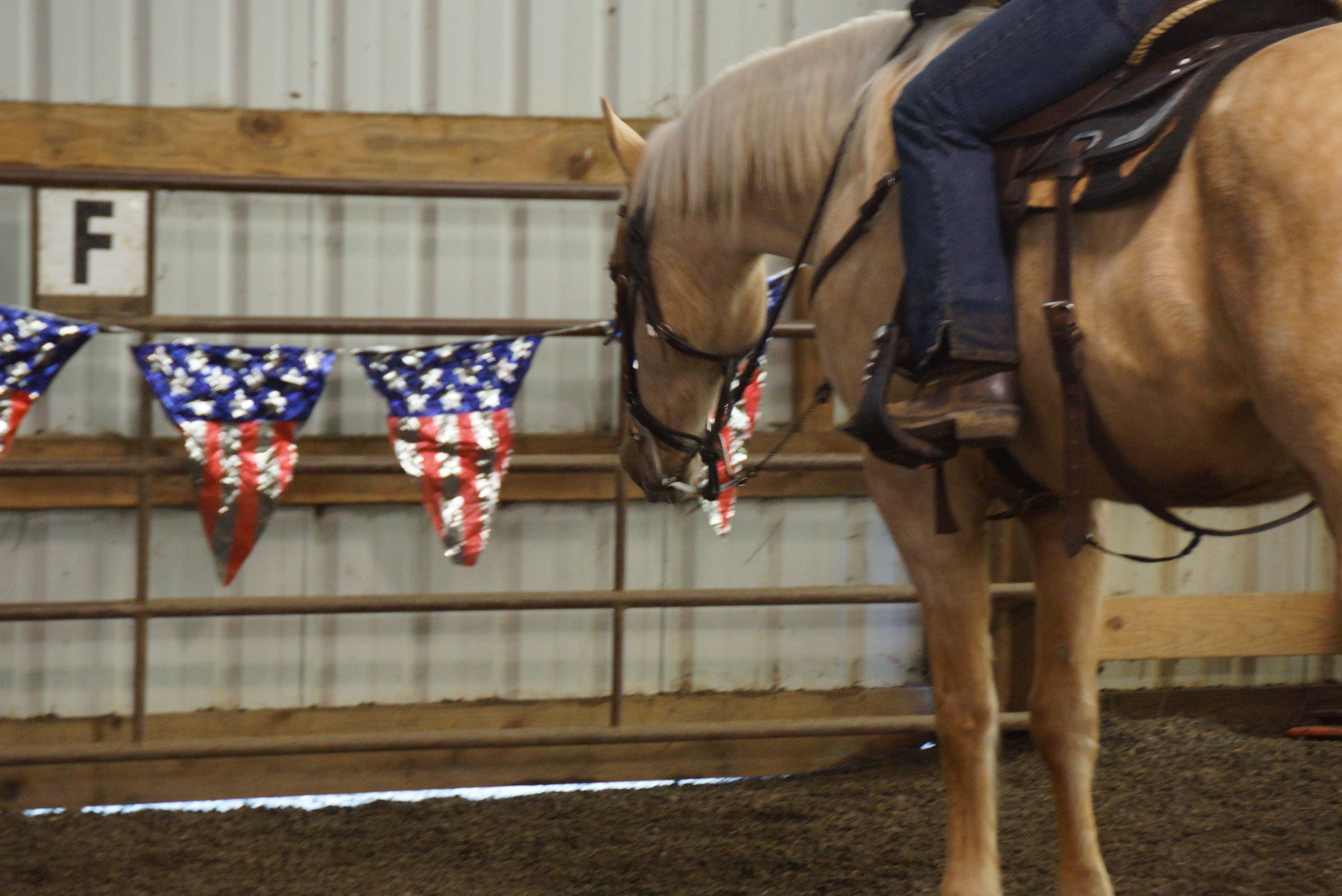 January 2013 Versatility Obstacle Clinic 210.jpg