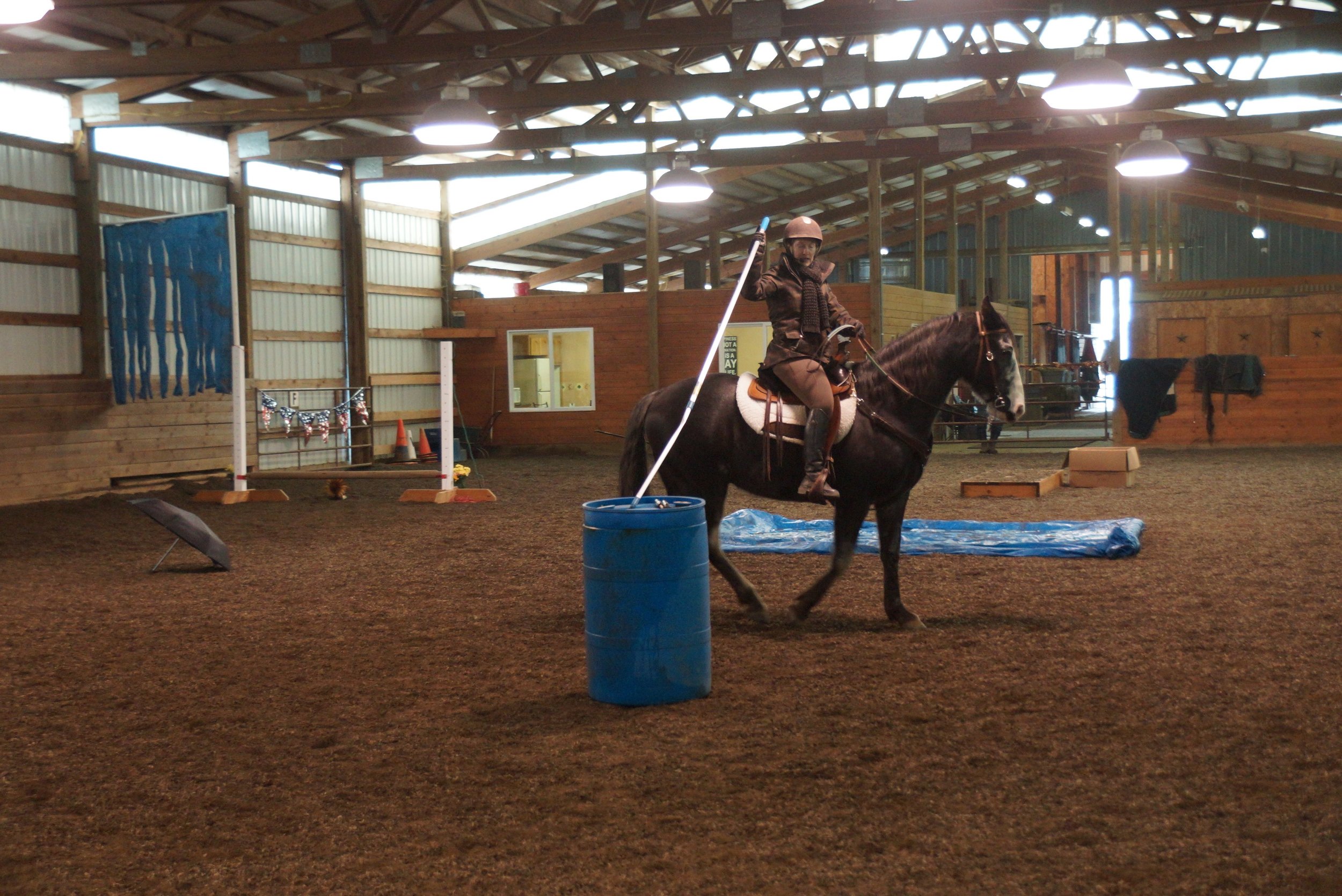 January 2013 Versatility Obstacle Clinic 180.jpg