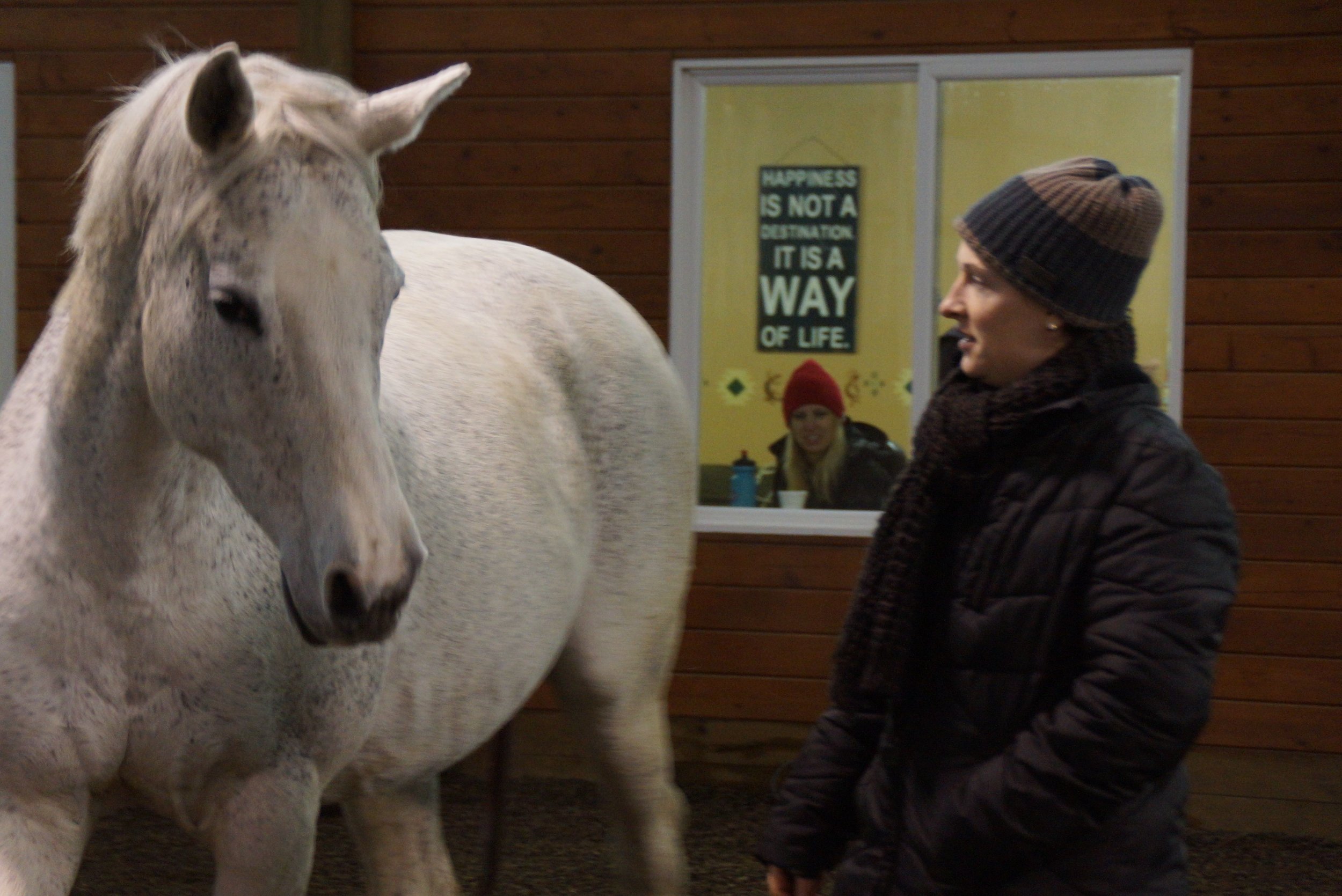 January 2013 Versatility Obstacle Clinic 058.jpg