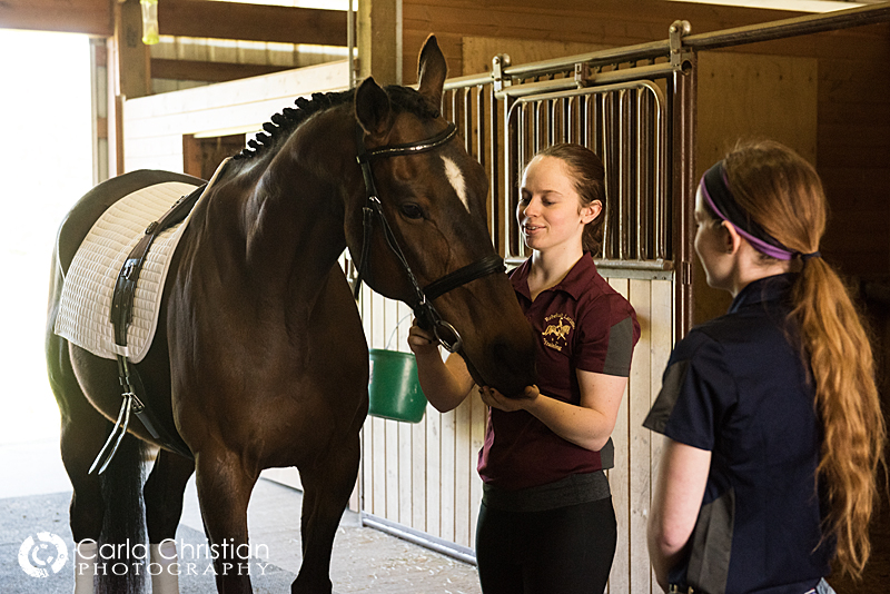 Carla Christian Photography - Horse training goes high tech - 3.jpg