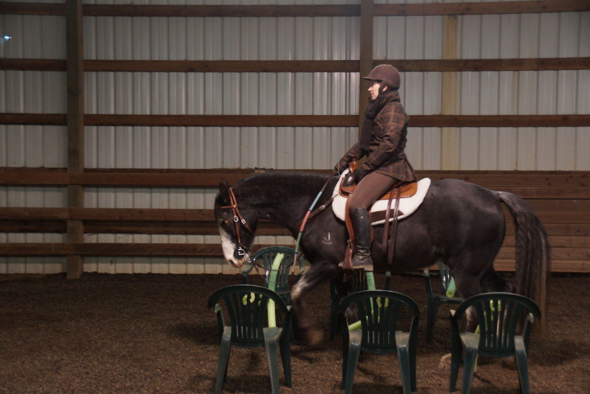 January 2013 Versatility Obstacle Clinic 161.jpg