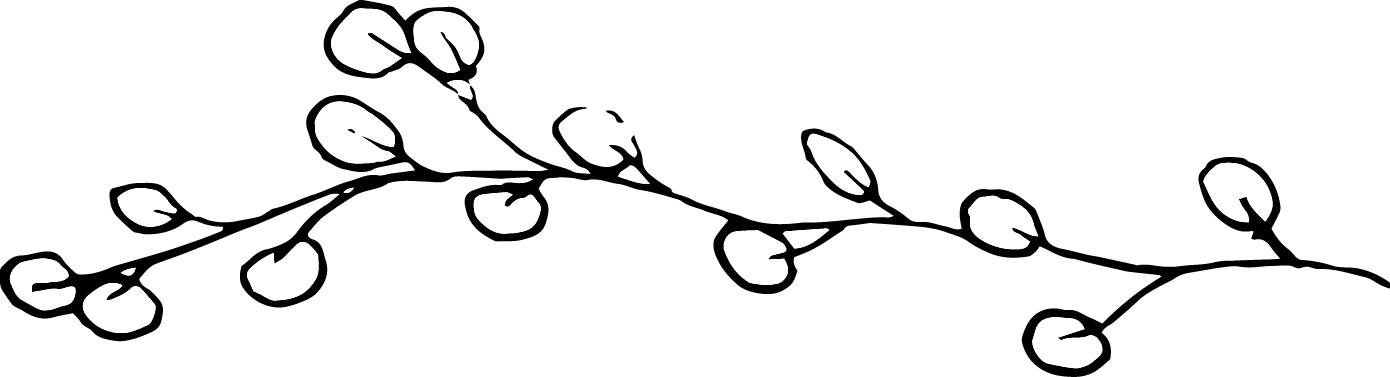 Brand Element_Eucalyptus 02.png