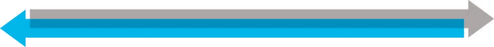 color banner.png