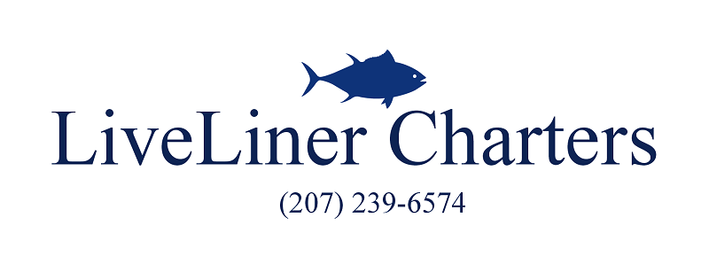 Maine Deep sea fishing charters f/v liveliner portland