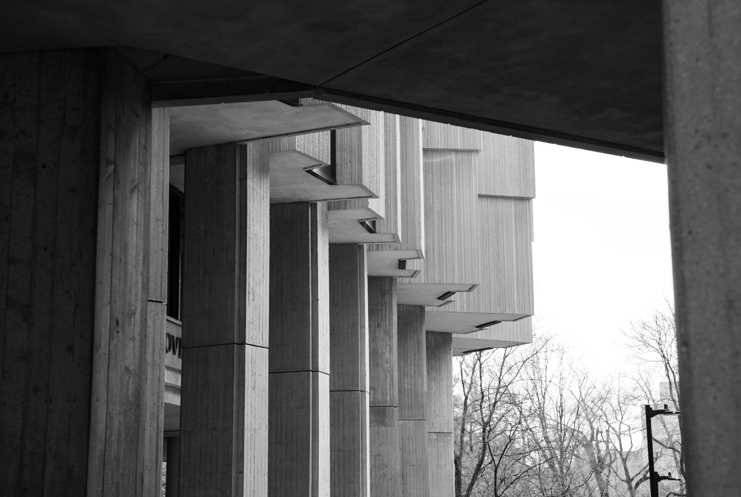 NU ARCHITECTURE-20.jpg