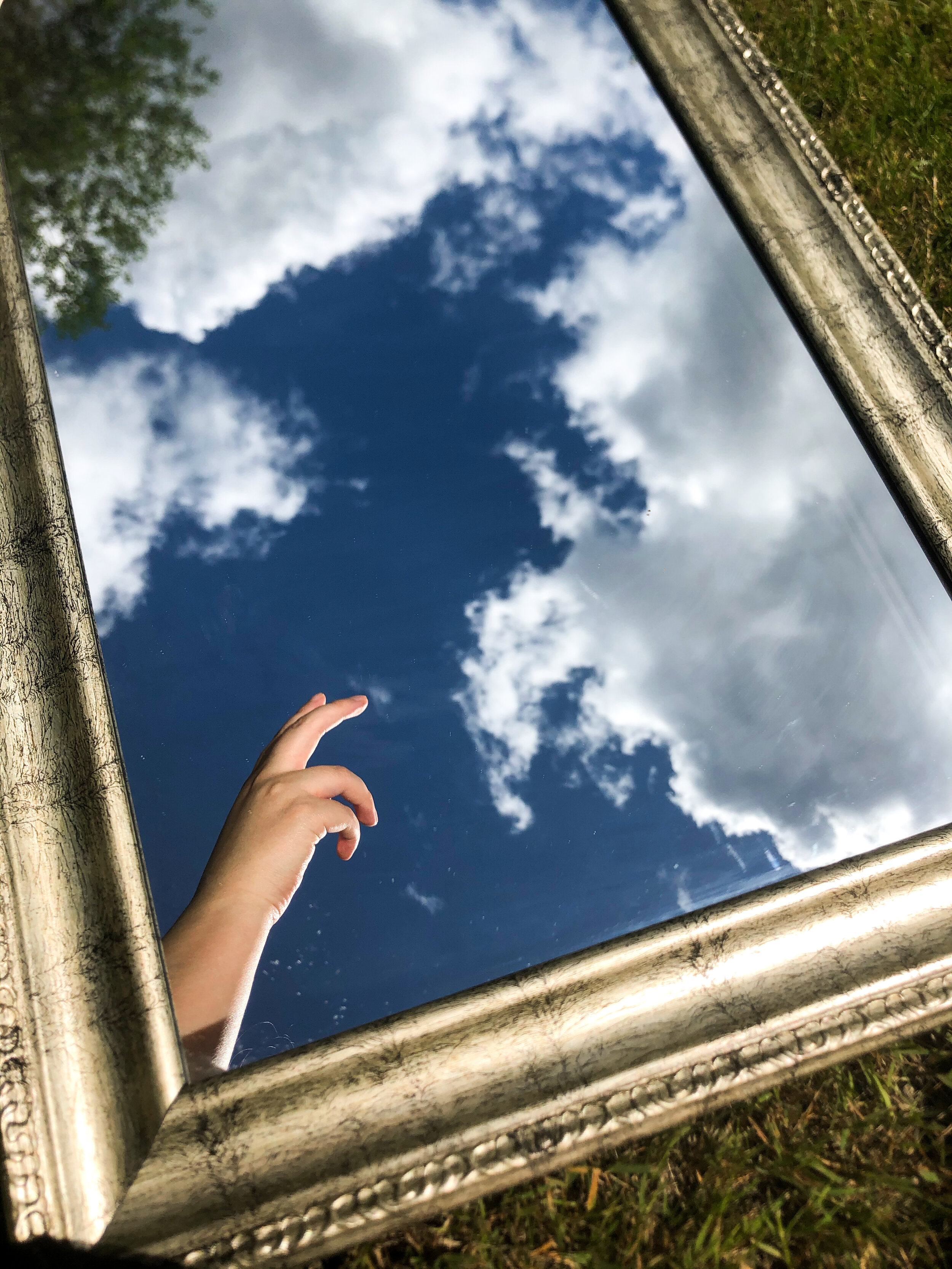 mirrors in nature.jpg